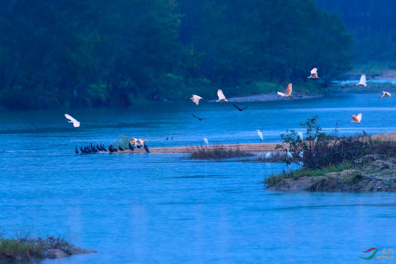 DSC_4846С.jpg