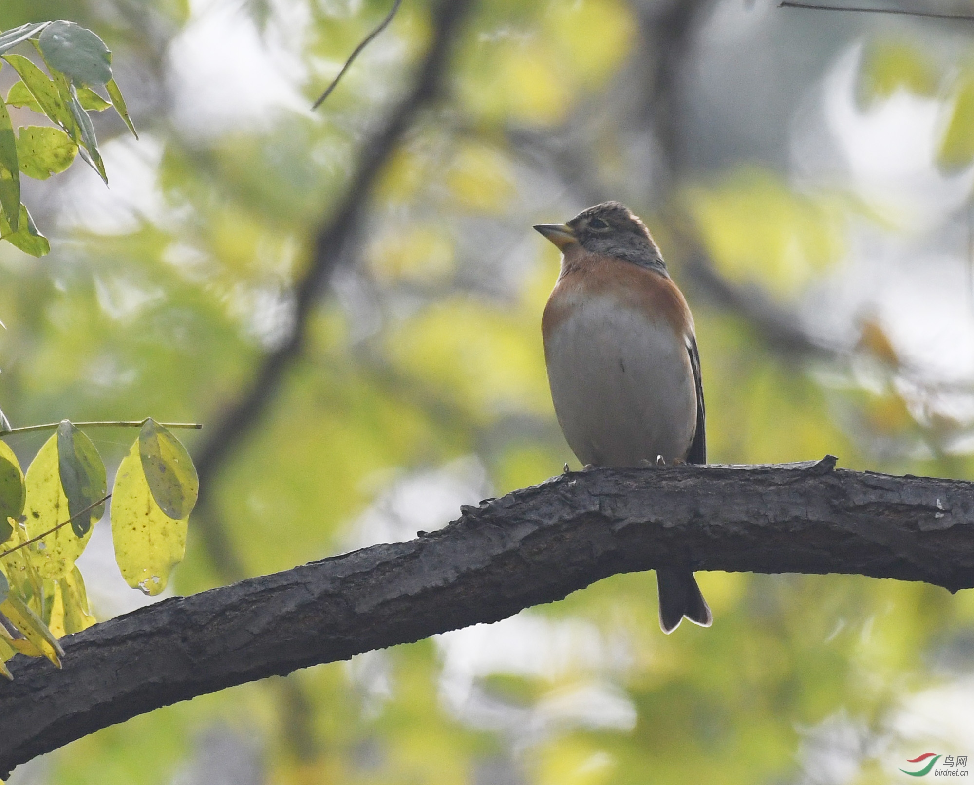 ������Ӱ 153����.jpg