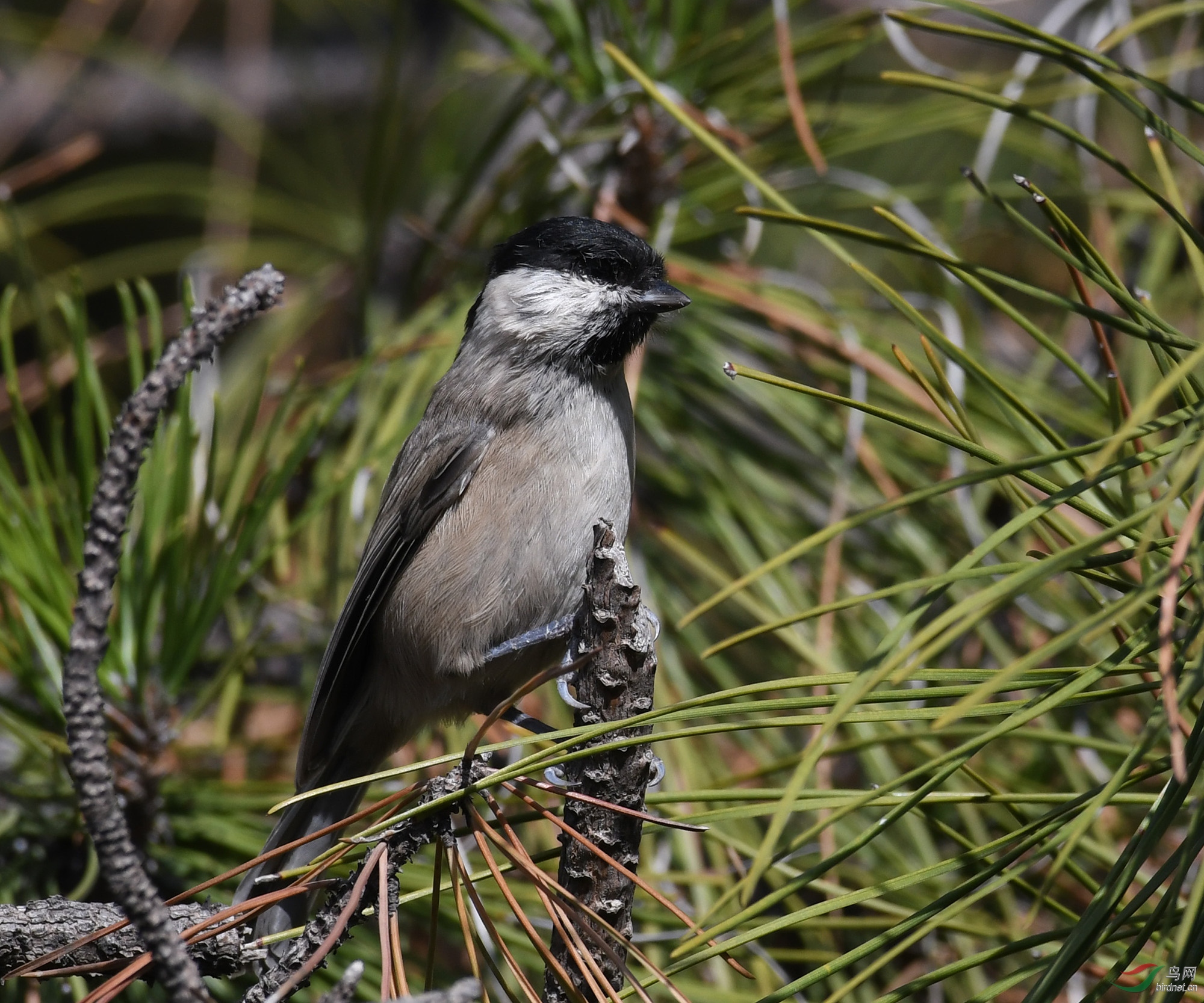 ������Ӱ 1487����.jpg