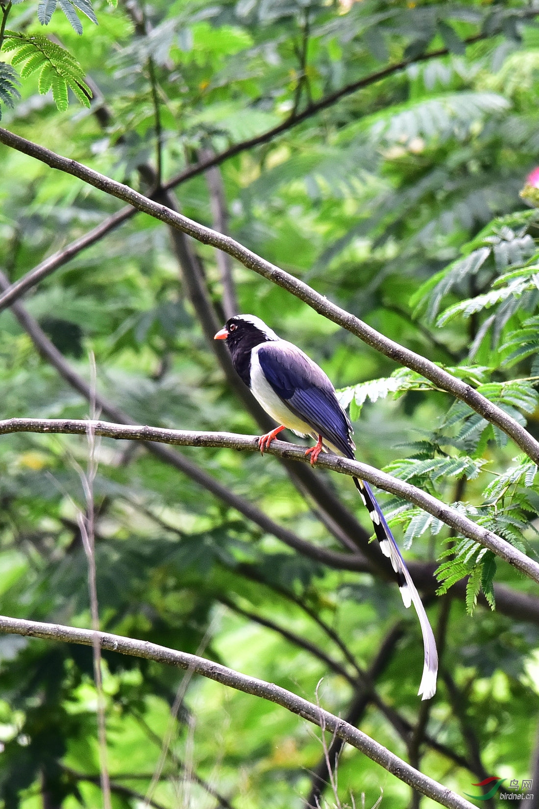 DSC_0604.JPG