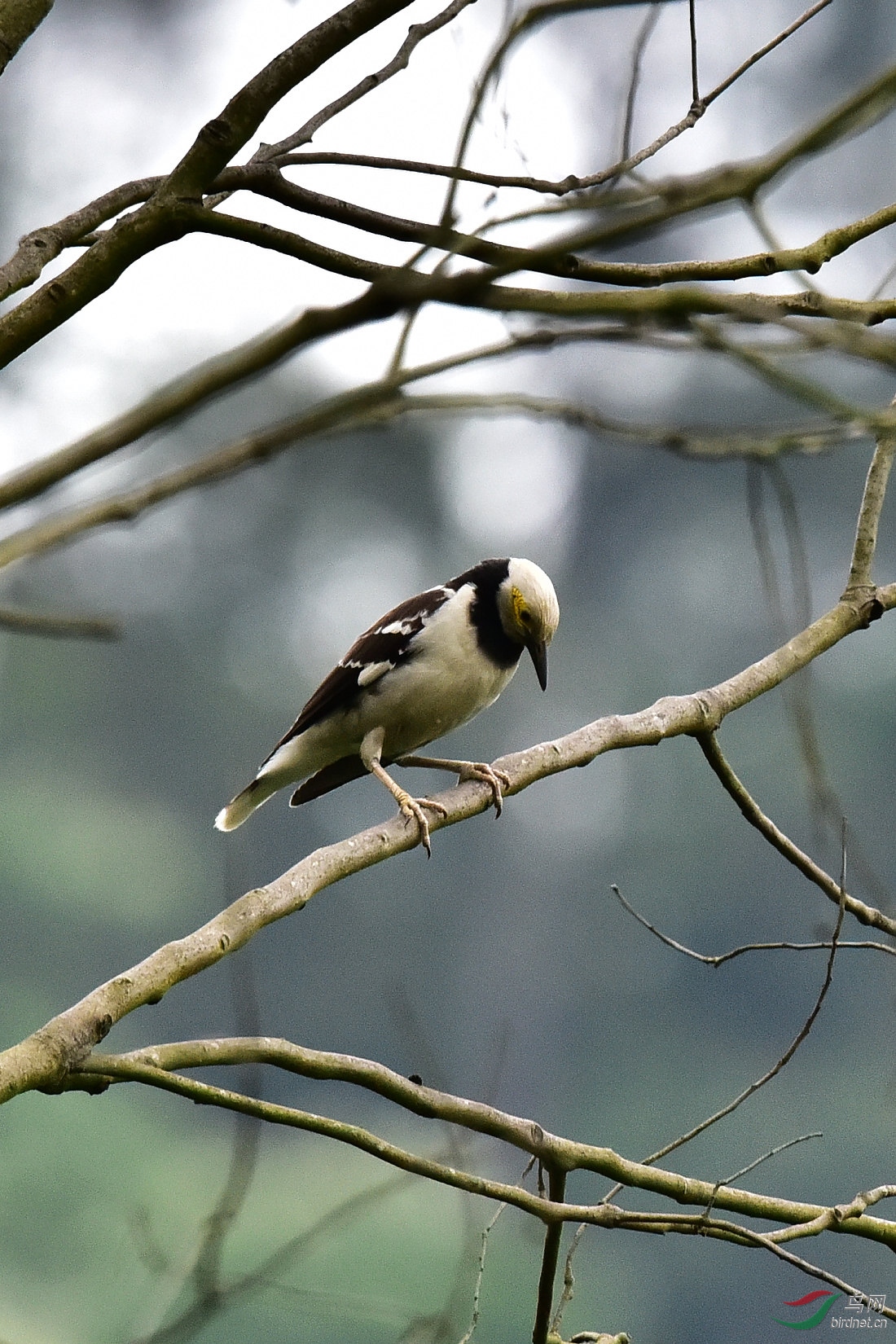 DSC_0183.JPG