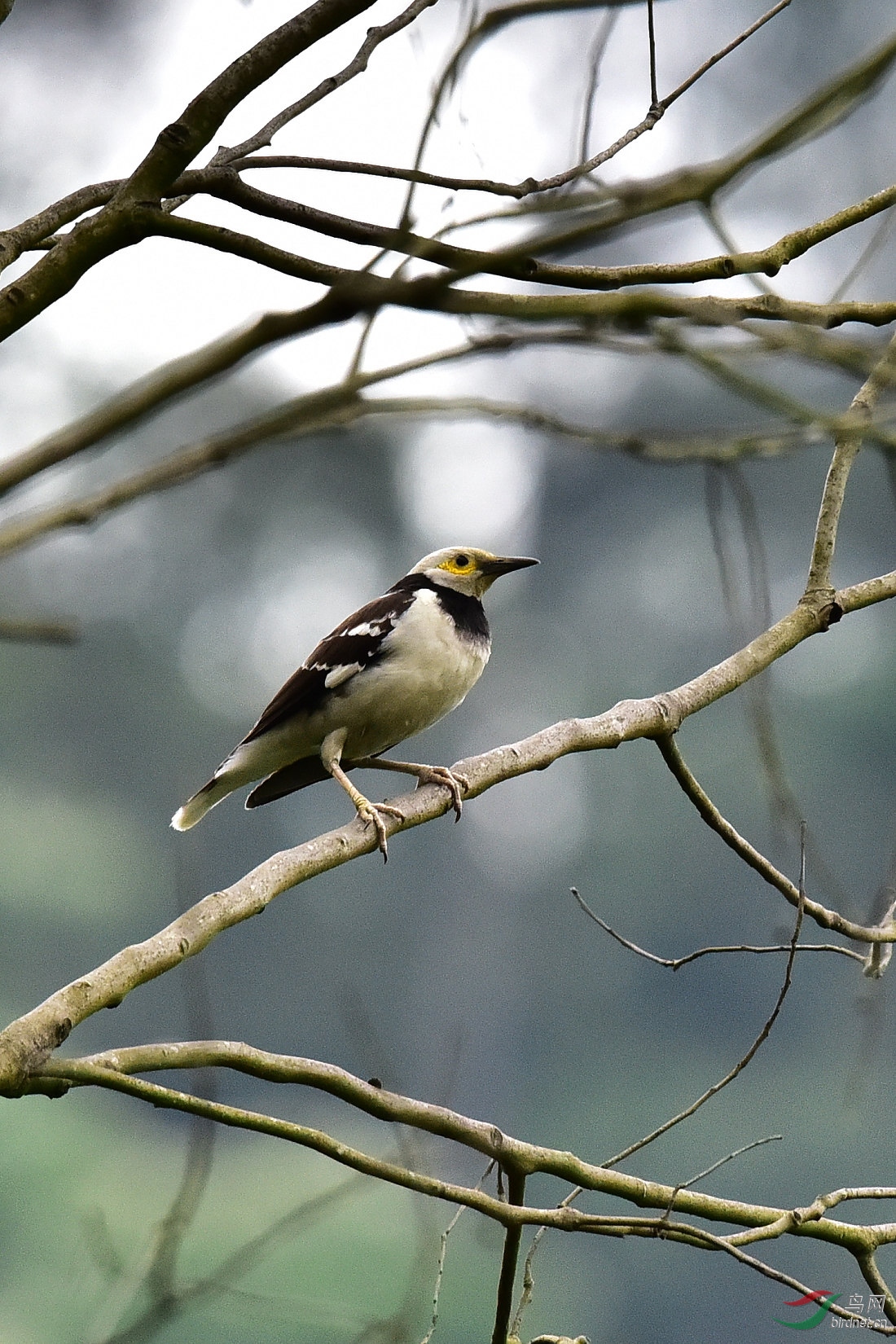 DSC_0184.JPG