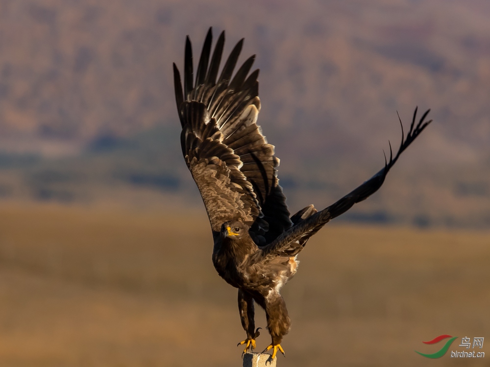 BQ4I8532.jpg