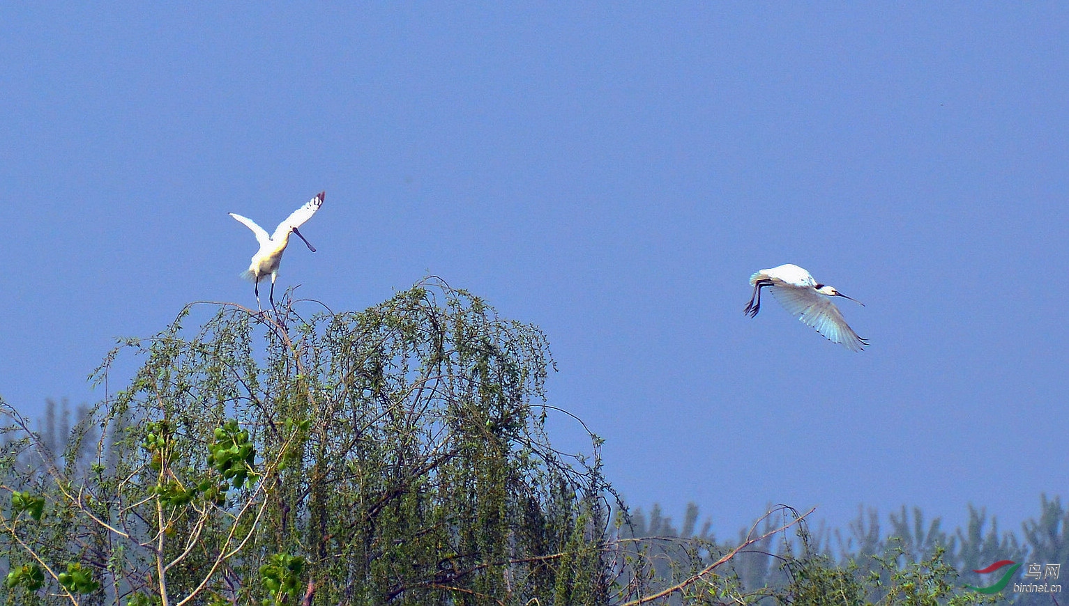 DSC_6389.JPG