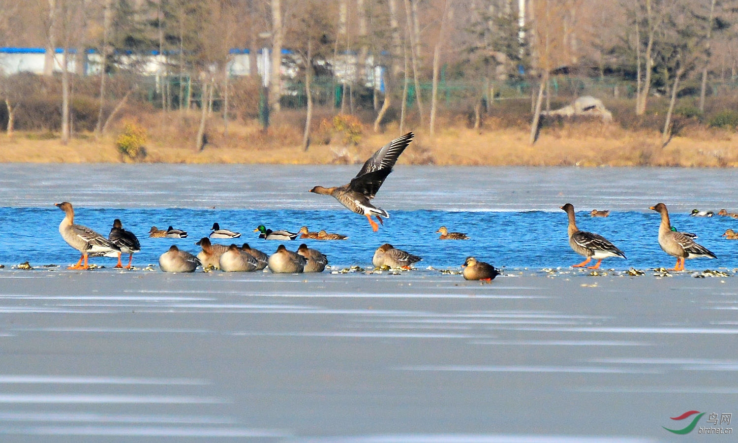 DSC_6340.JPG