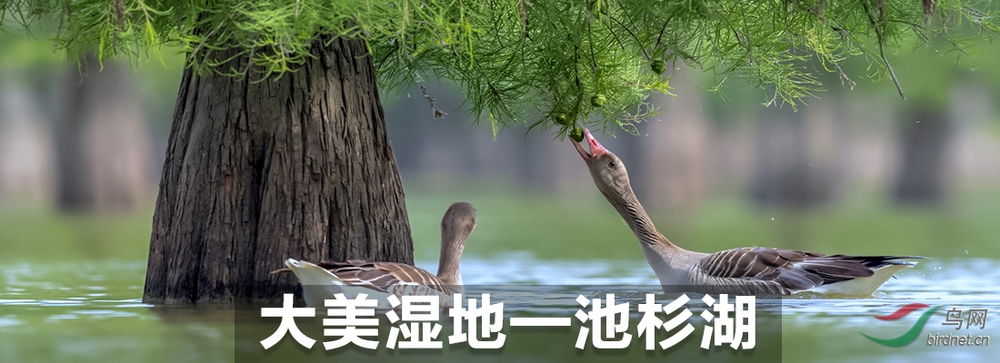 20191023001.jpg
