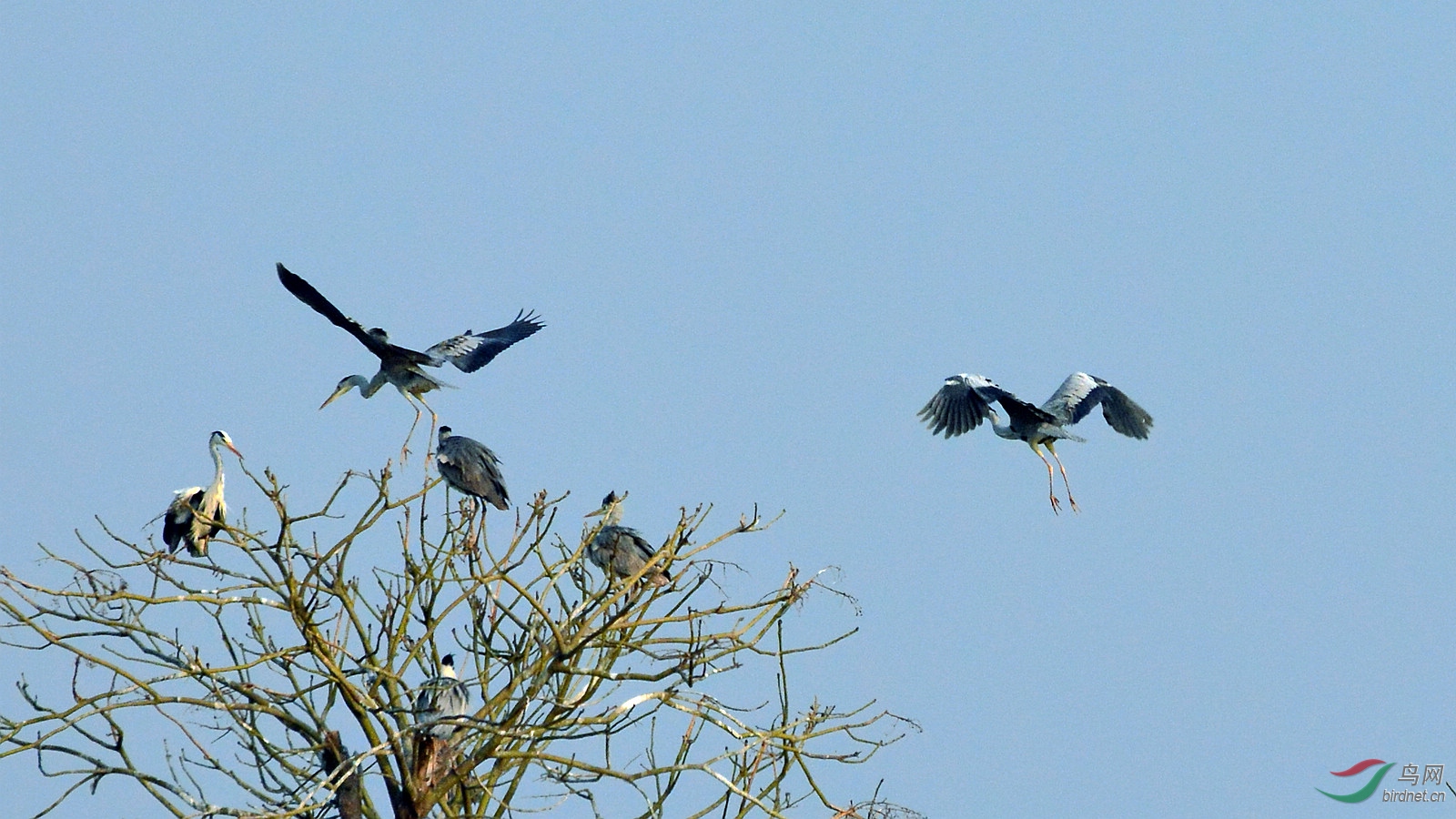 DSC_8992.JPG