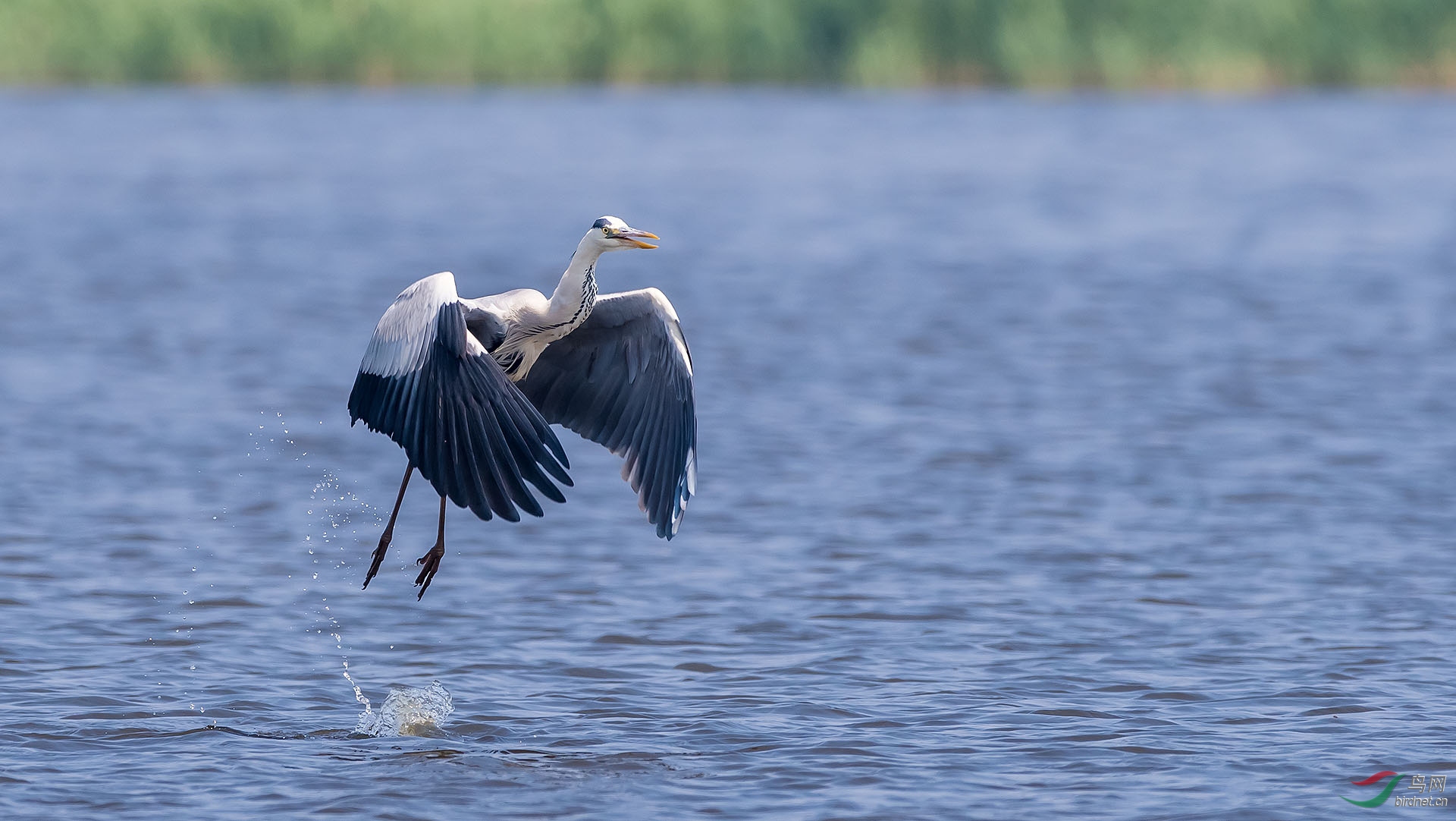 DSC_5907.jpg