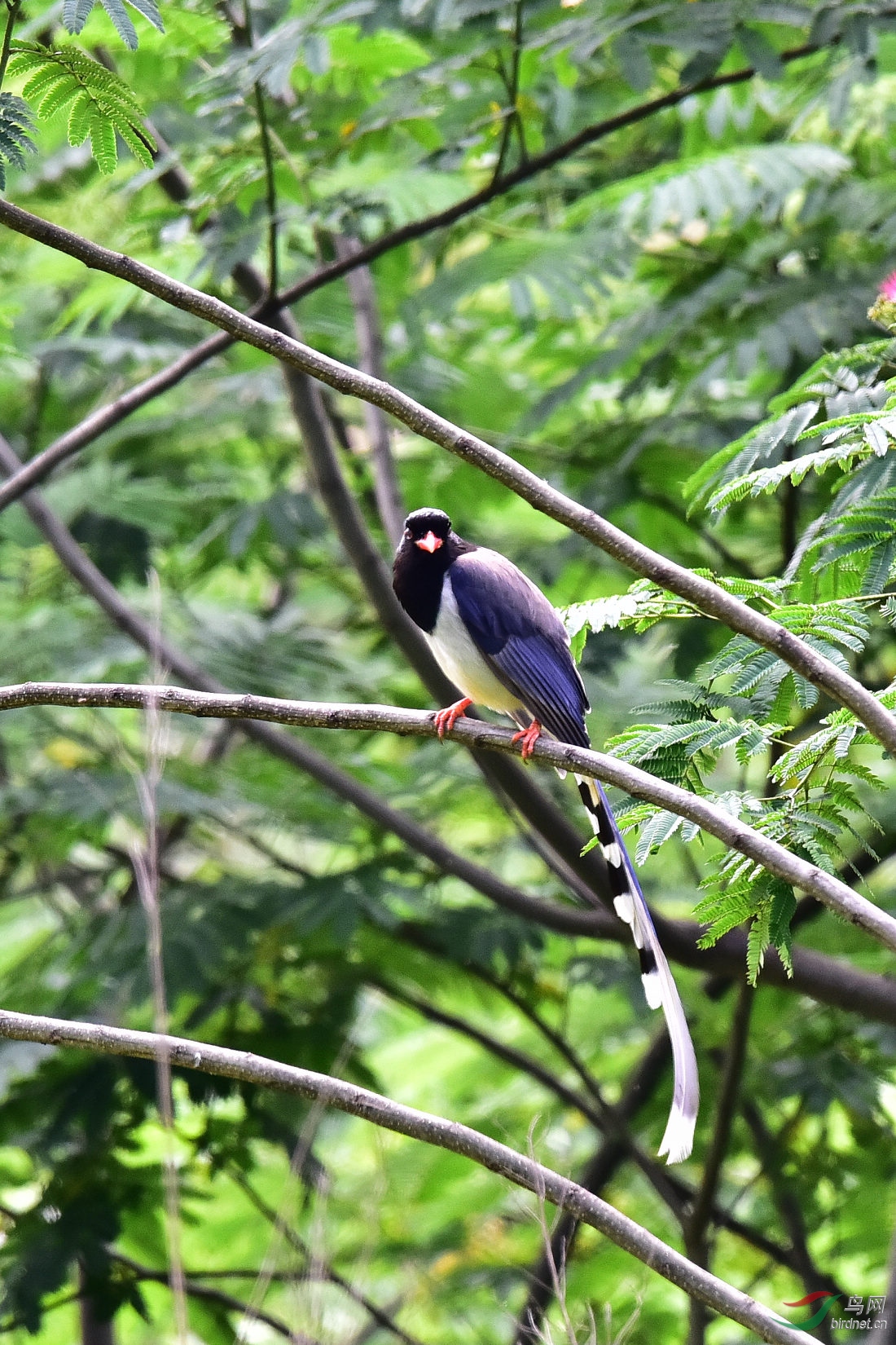 DSC_0605.JPG