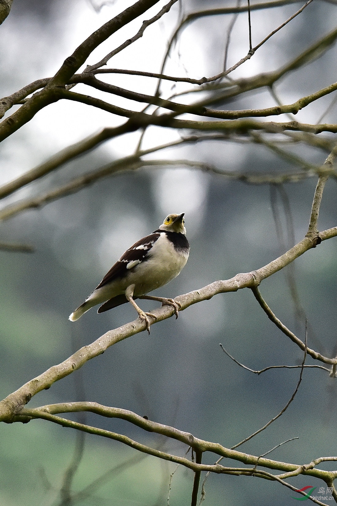 DSC_0186.JPG