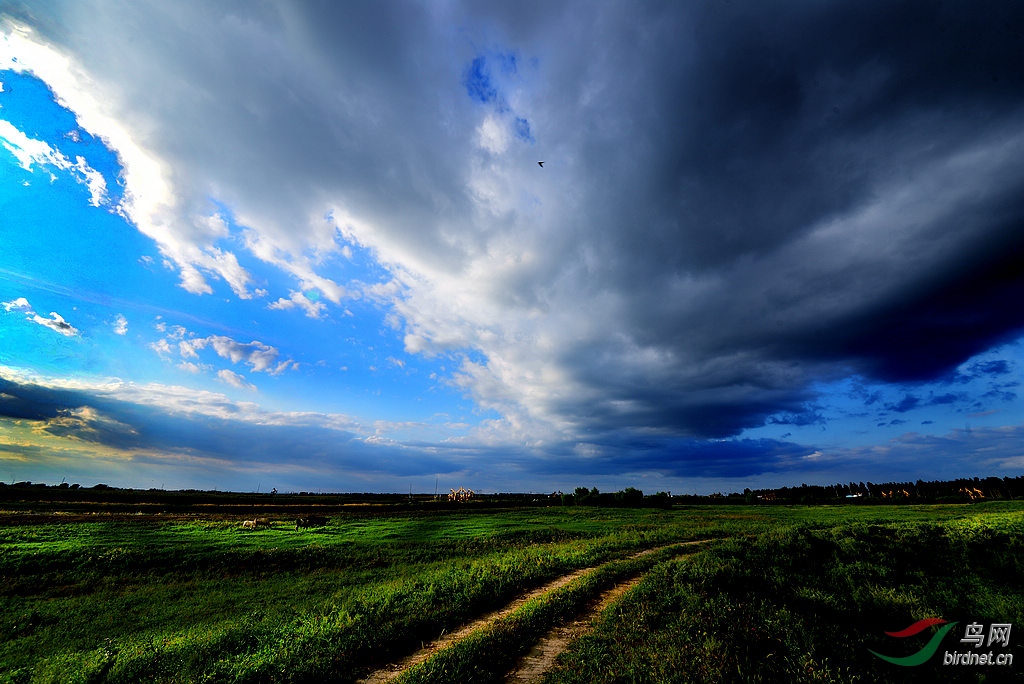 乌云遮不住太阳
