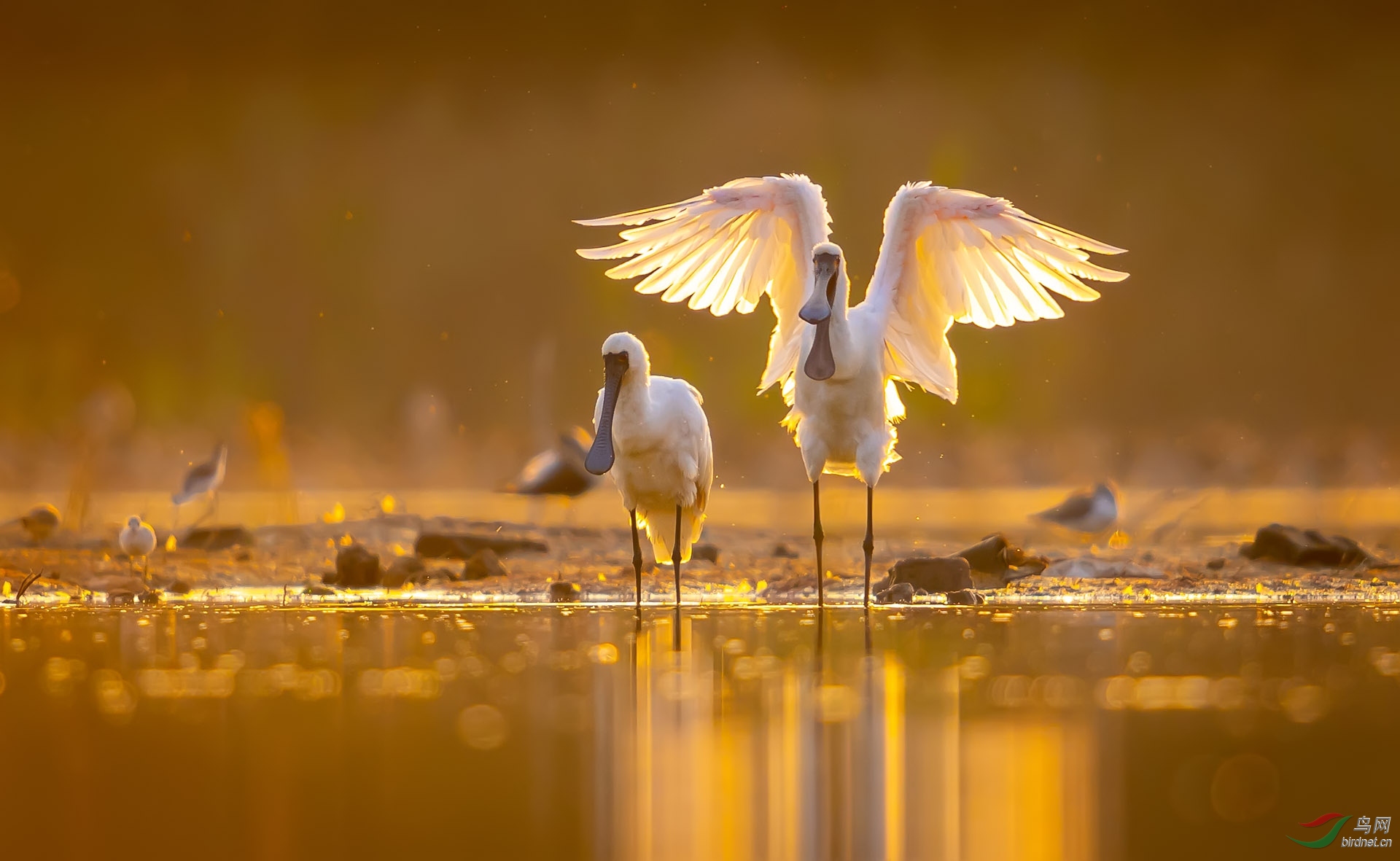 ZXC_6808-3 ����.jpg