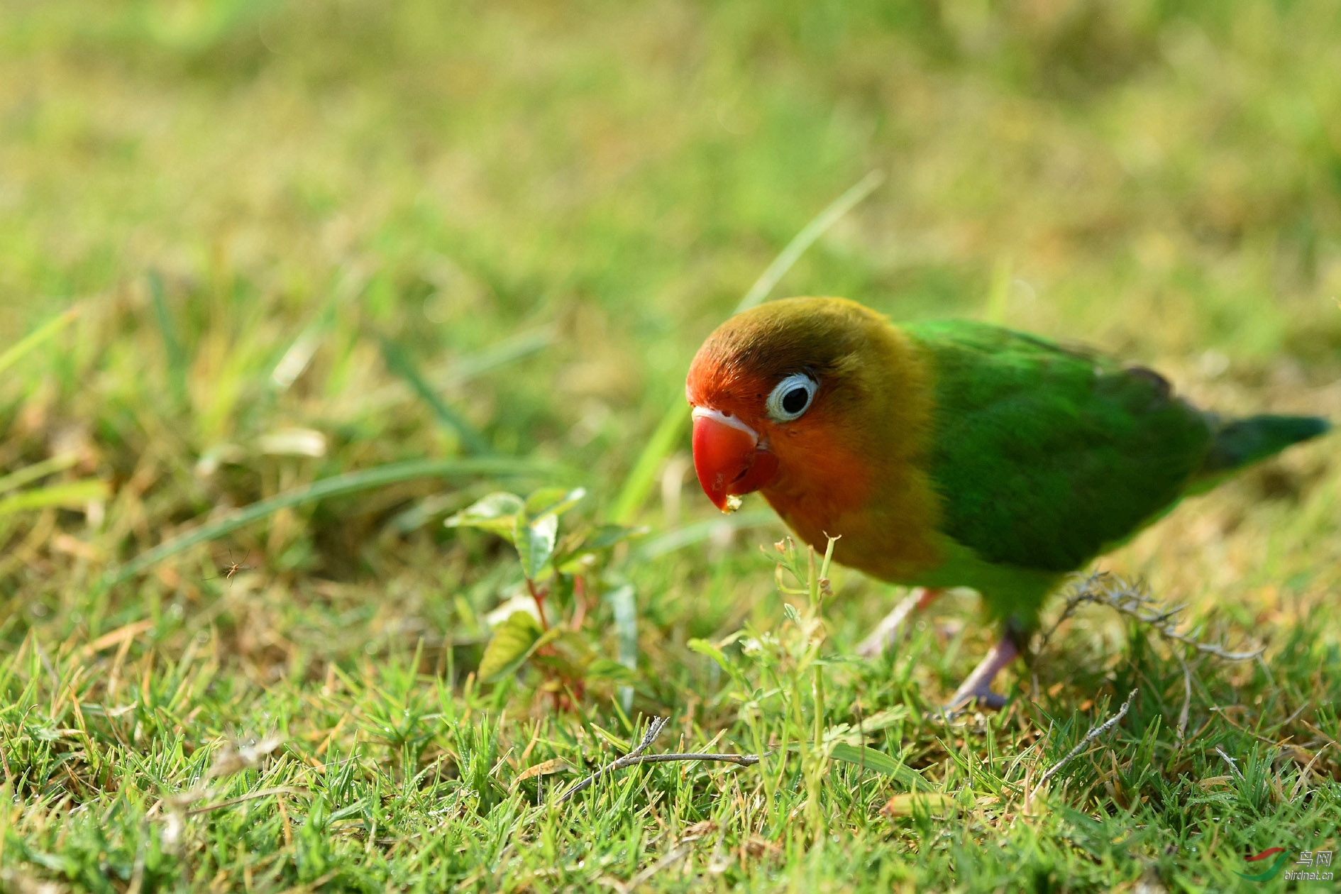 DSC_8428_����.jpg