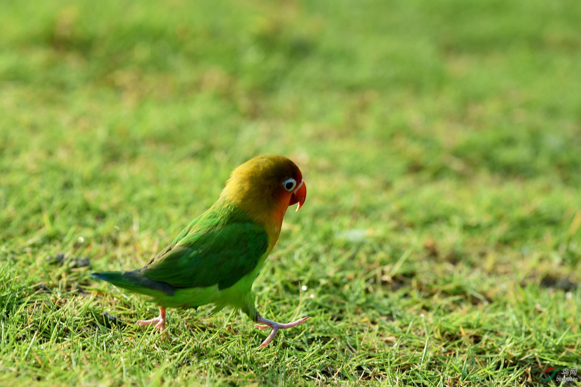 DSC_8427_����.jpg