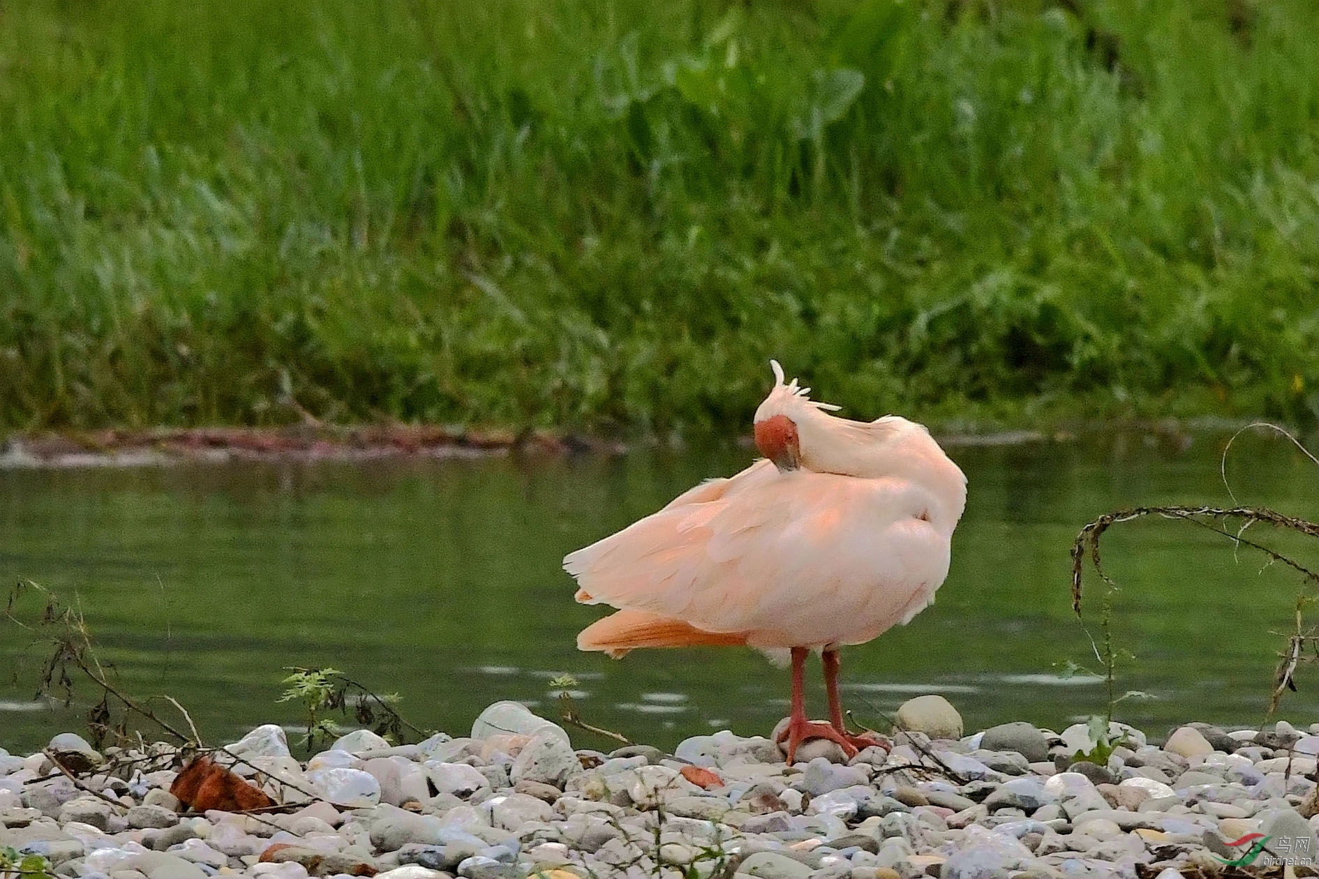 NIKON CORPORATION_NIKON D500_5273664-5276157_000.JPG