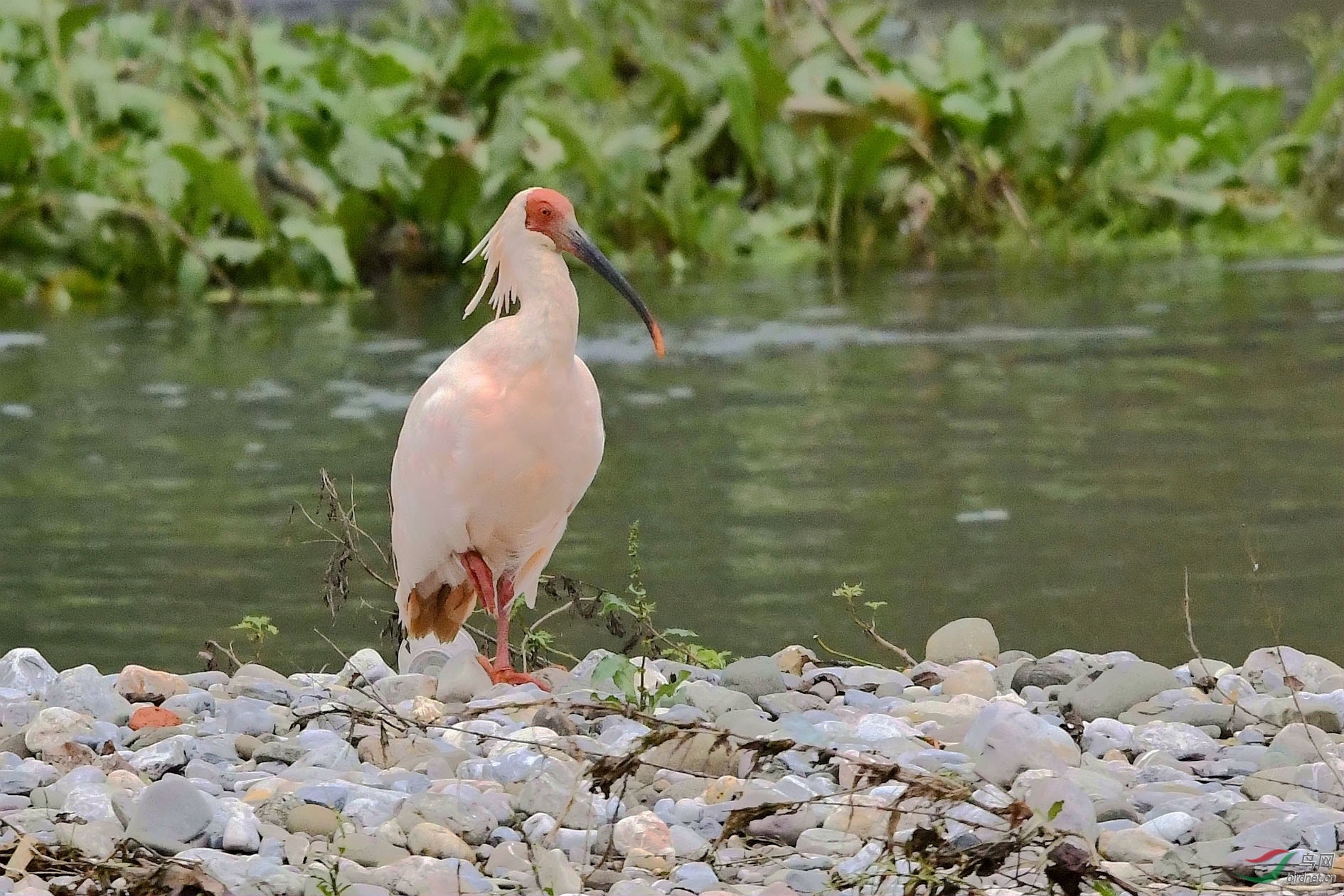 NIKON CORPORATION_NIKON D500_5618496-5621412_000.JPG