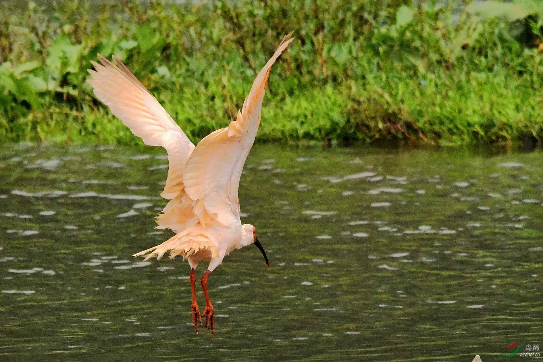 NIKON CORPORATION_NIKON D500_5634688-5637730_000.JPG
