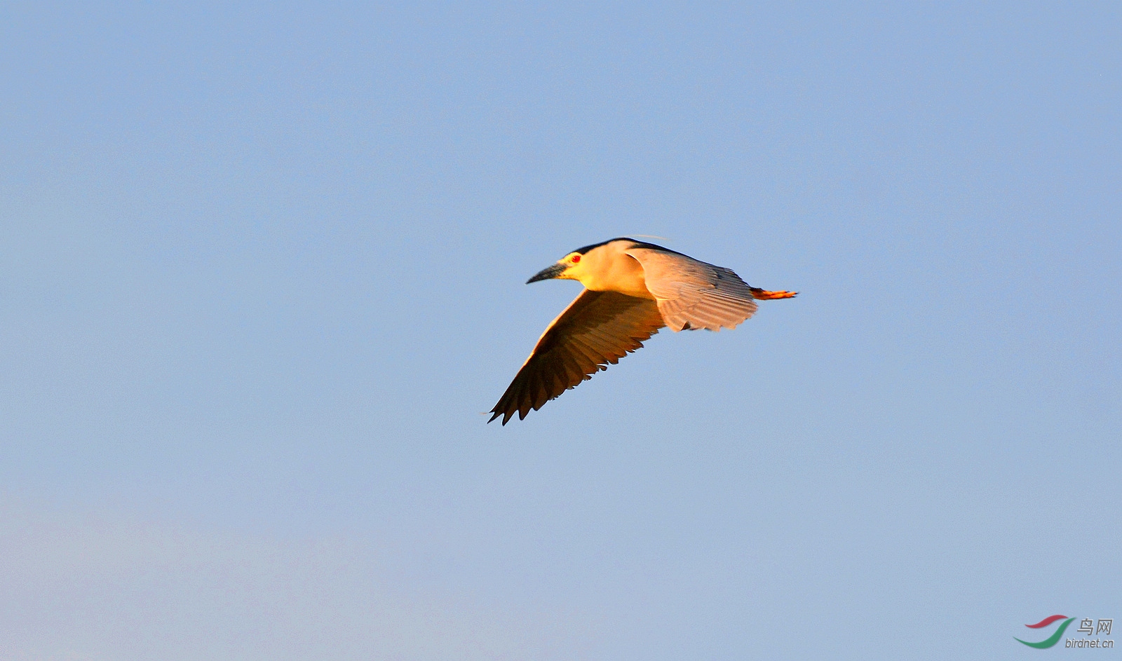 DSC_0800.JPG