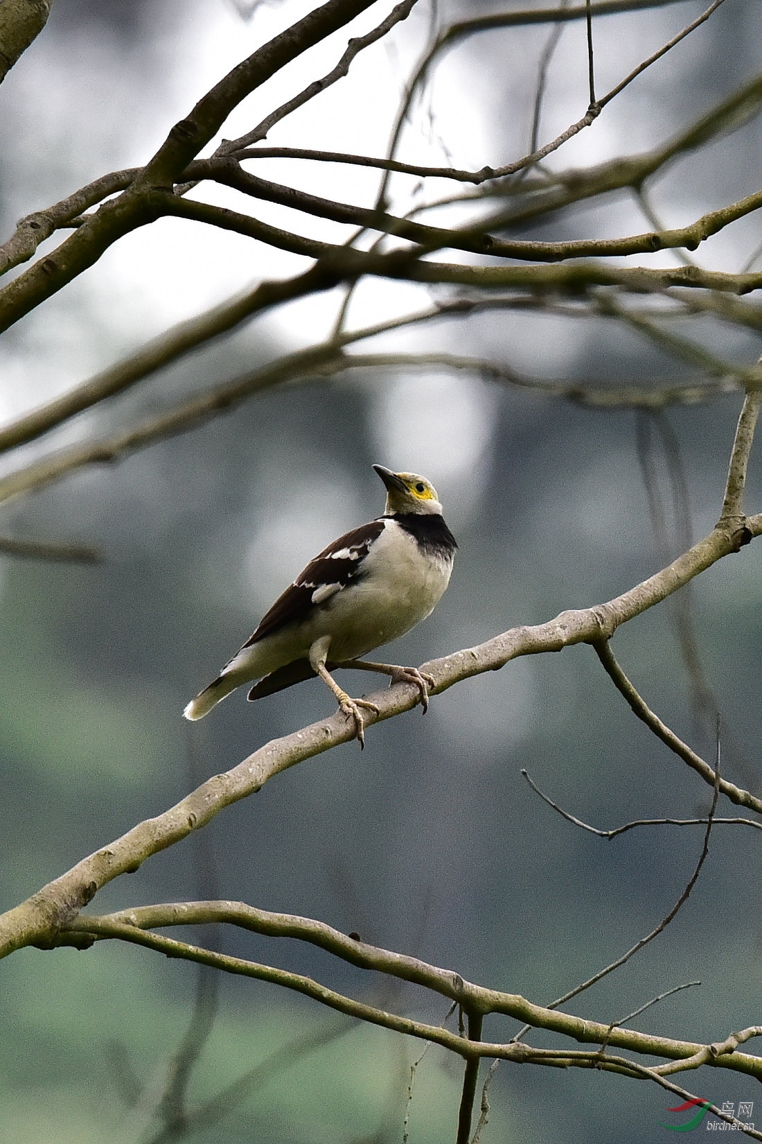 DSC_0187.JPG