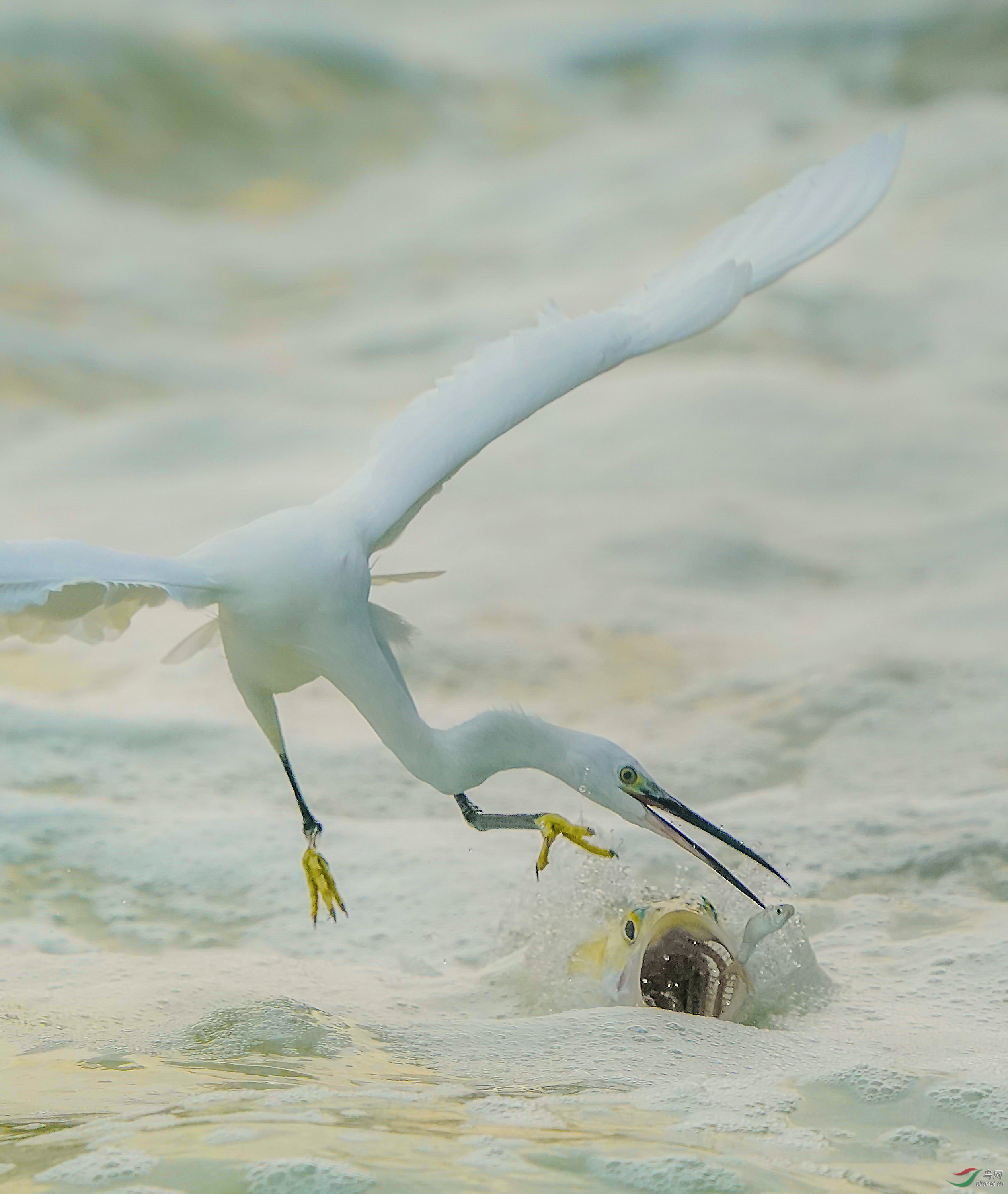 0612. 12106_��ڶ���_��ʵҰ������.jpg