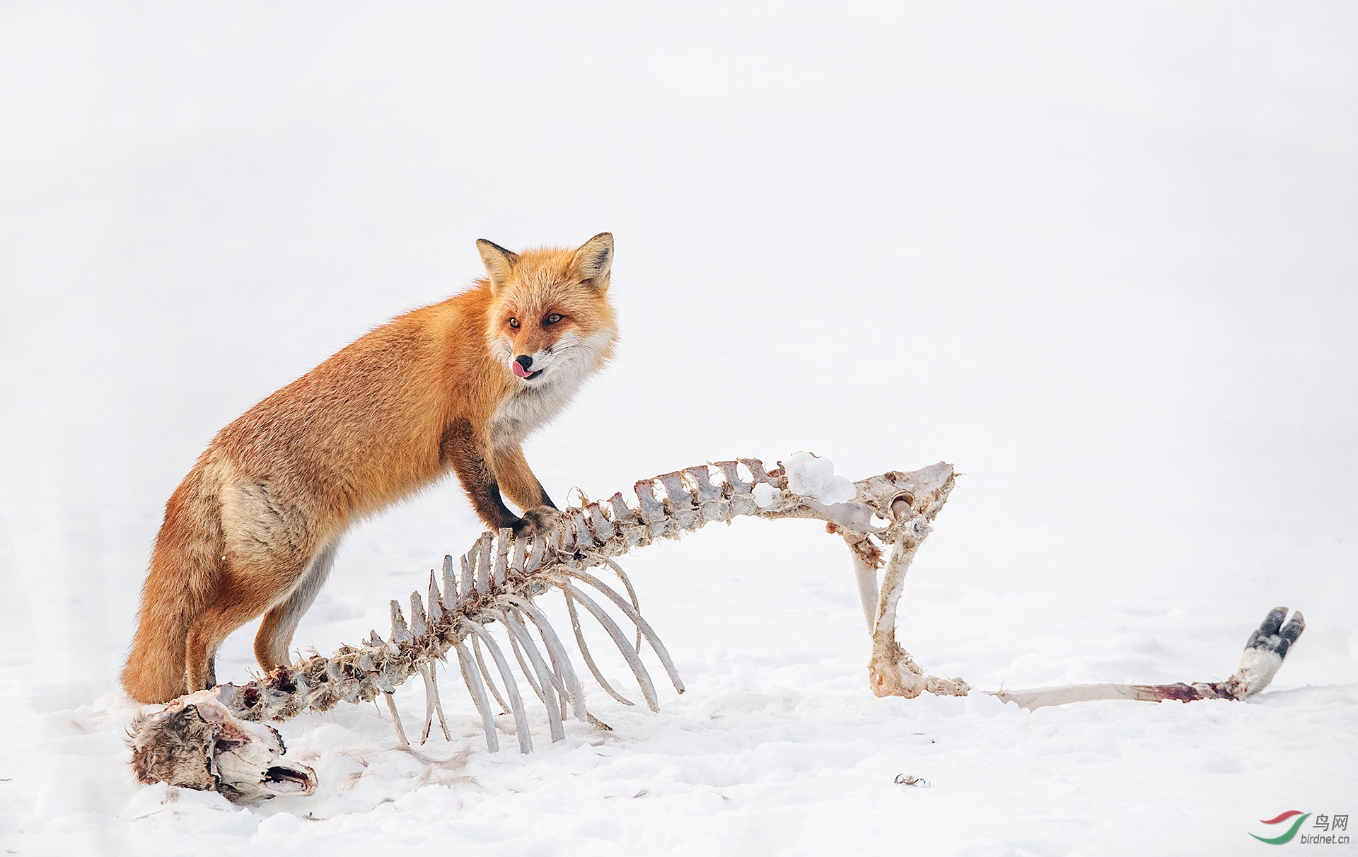 0223. 12021_������_��ʵҰ������.jpg