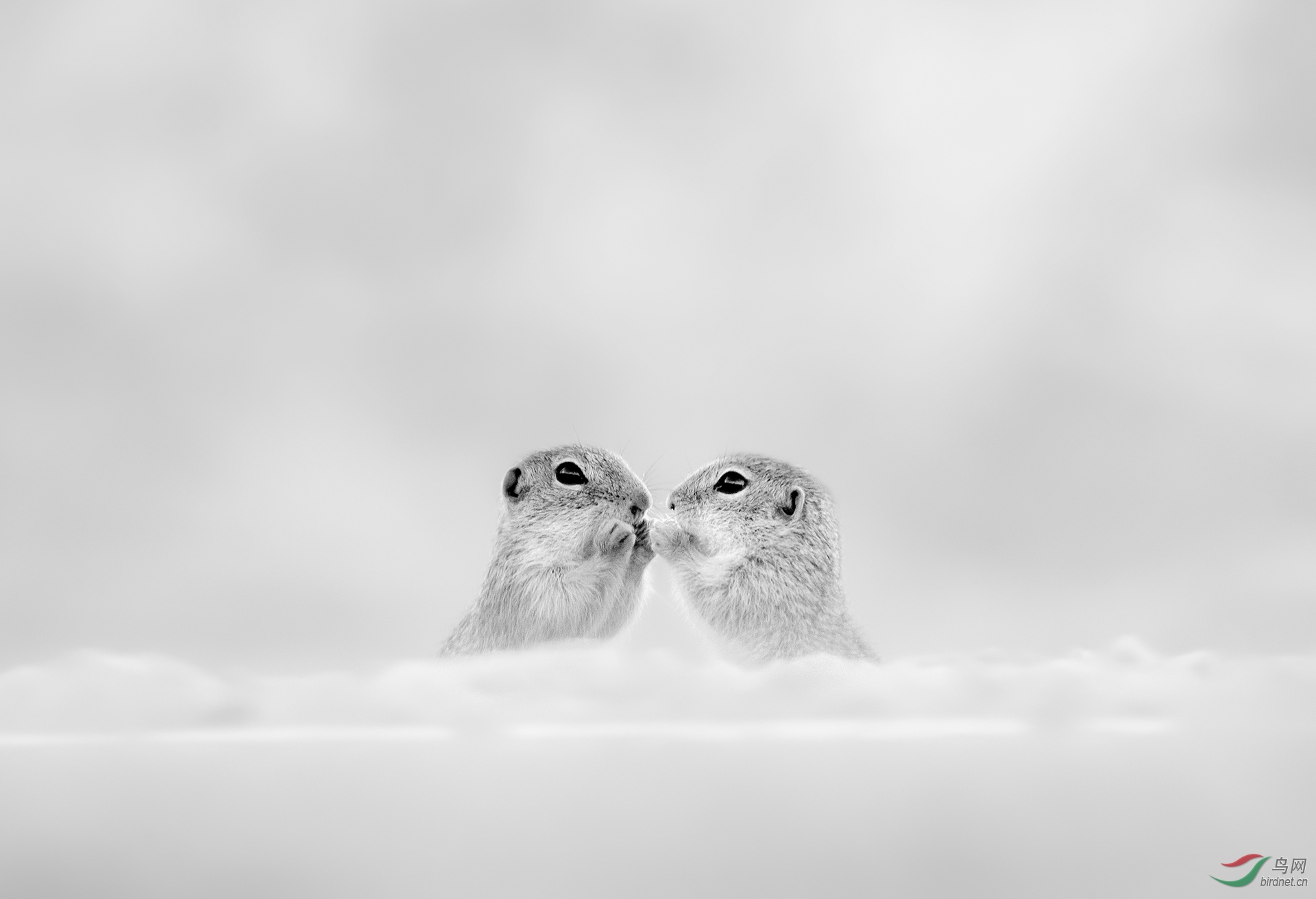 0213. 11880_����_��ʵҰ������.jpg