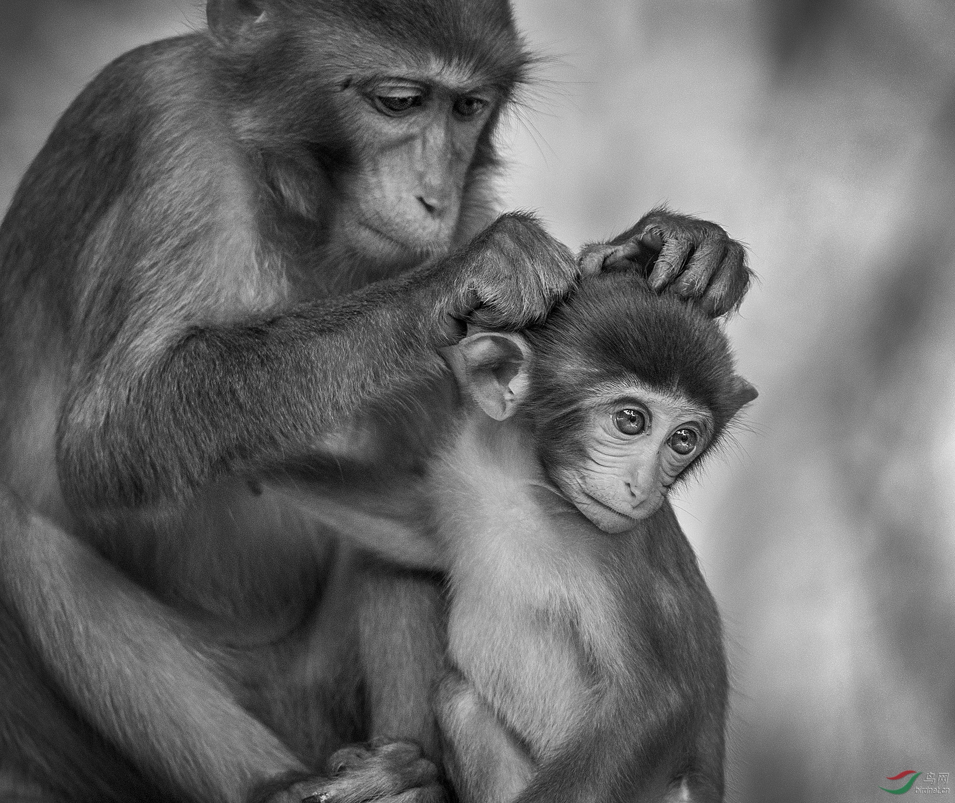 0225. 12023_ĸ��_��ʵҰ������.jpg