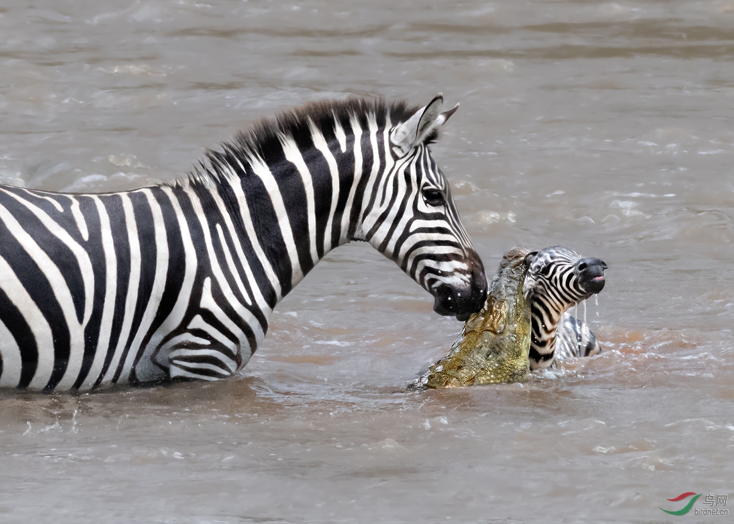 0250.Helplessness and despair��־��.jpg