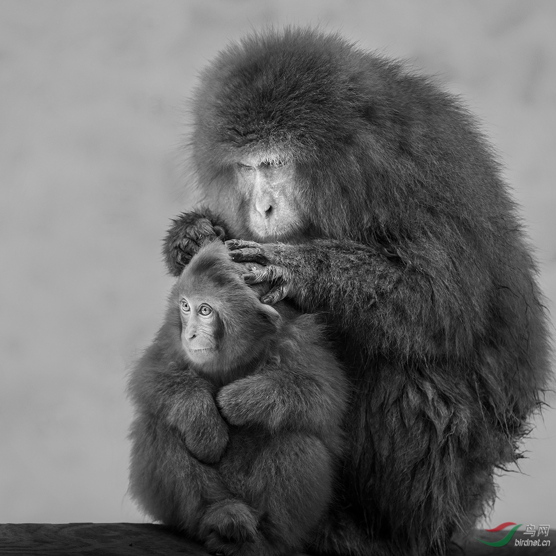 0257.Enioy Time  C1080-�����.jpg