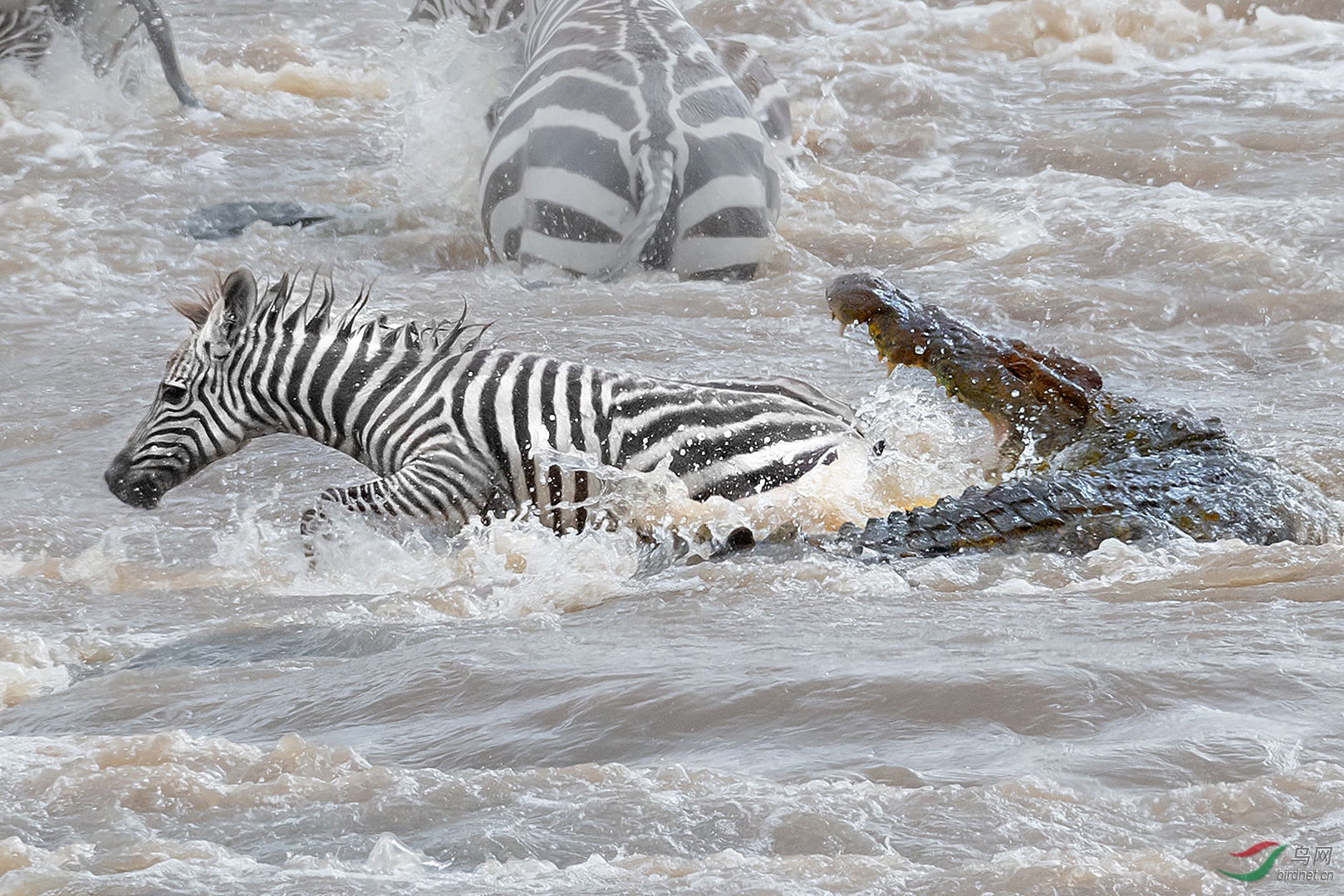 0258.Moments of life or death��־��.jpg