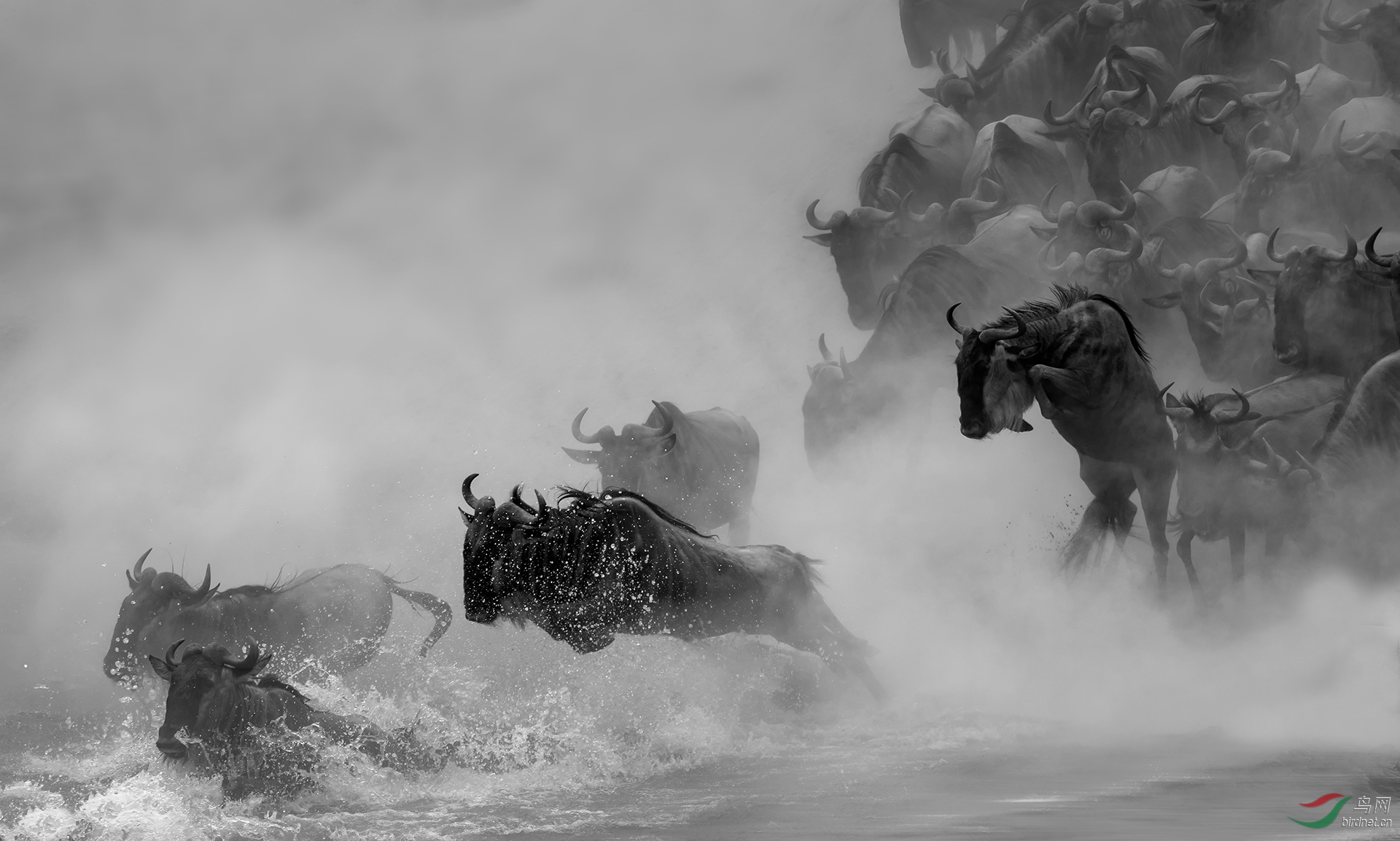 0262.jumping in rever  C1920-�����.jpg