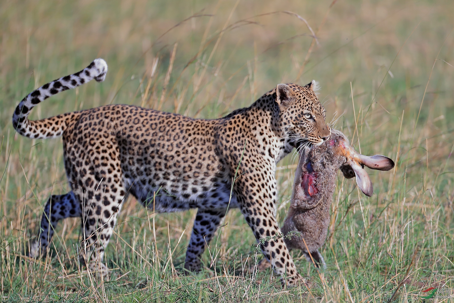 0582.���Թ��� ̷�˺�.jpg