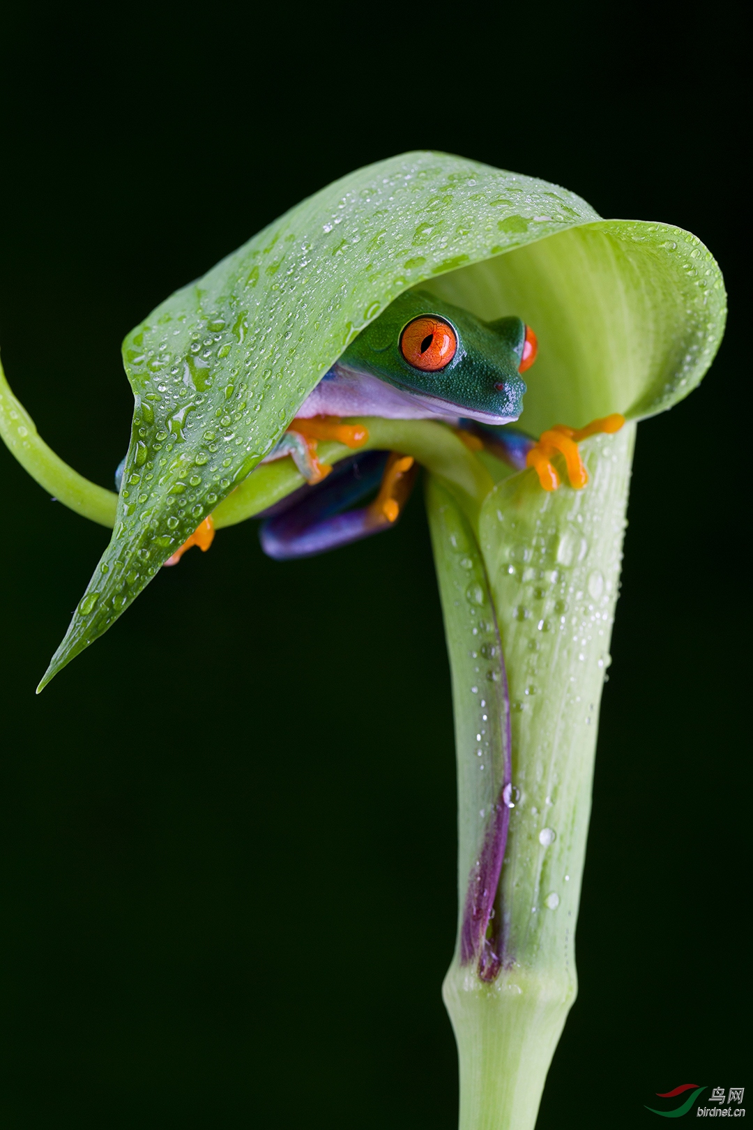 0845..��Ȥ-���� ��ؐ.jpg