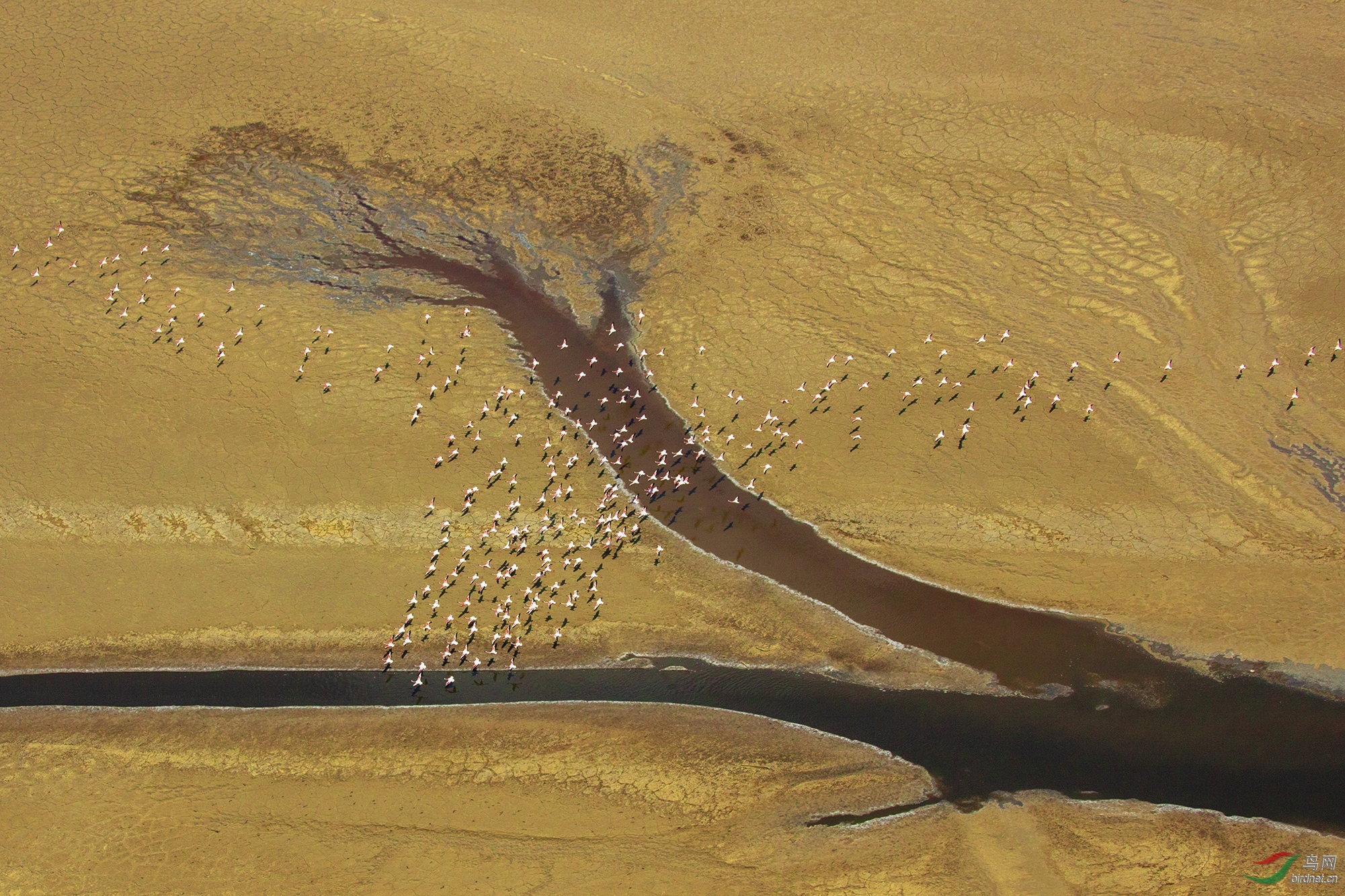 0034. 10655_�ع�_����Ȼ���.jpg