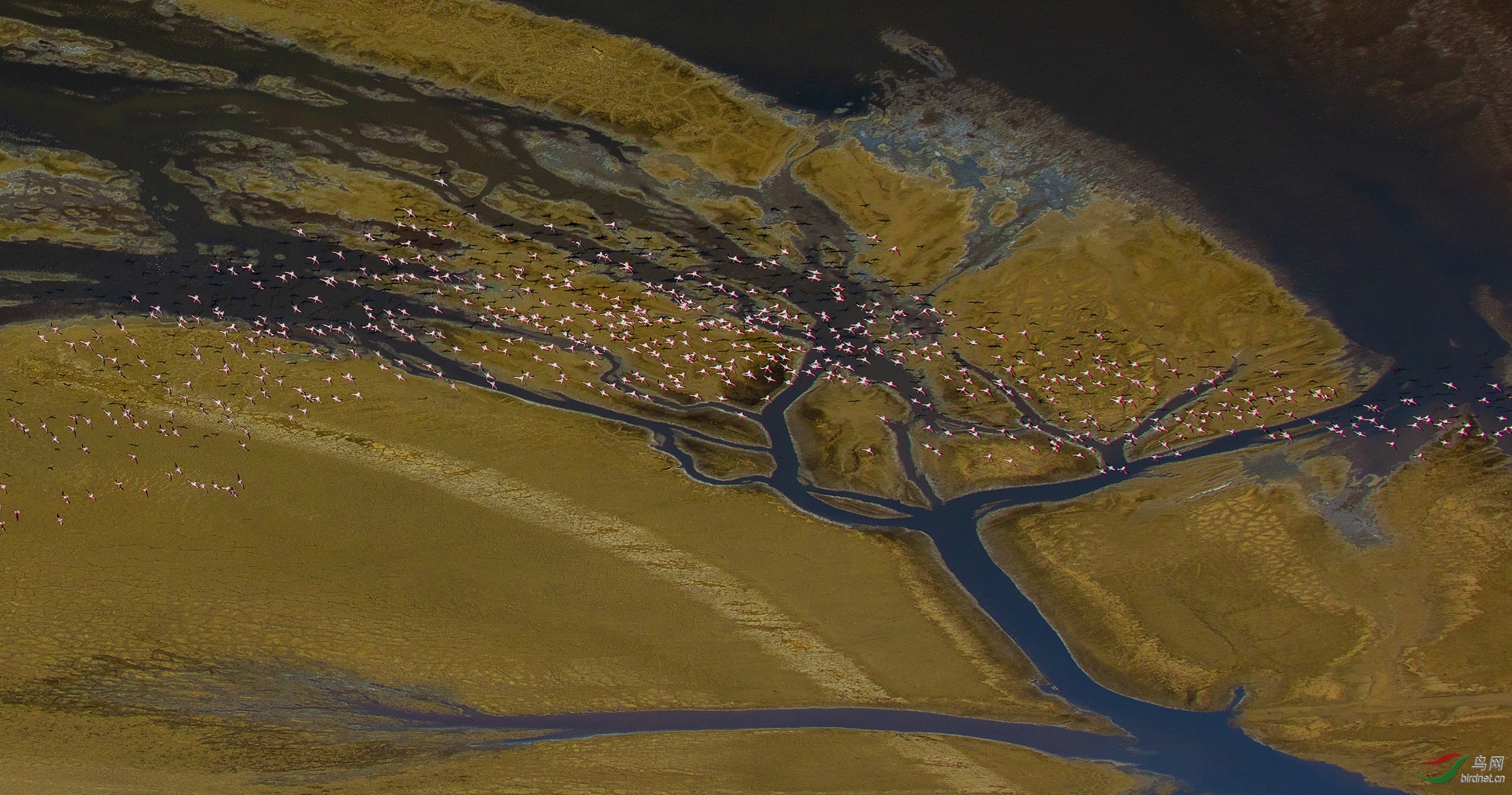 0035. 10656_�续���_����Ȼ���.jpg