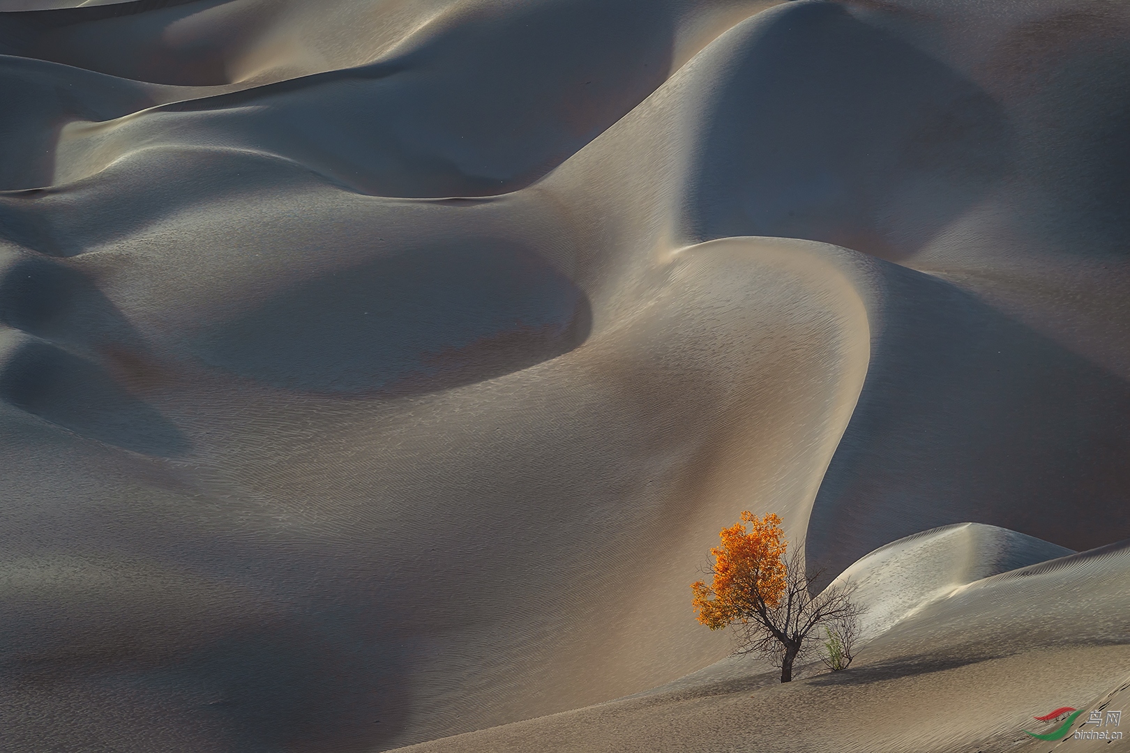 0079. 11396_һ��С��_����Ȼ���.jpg