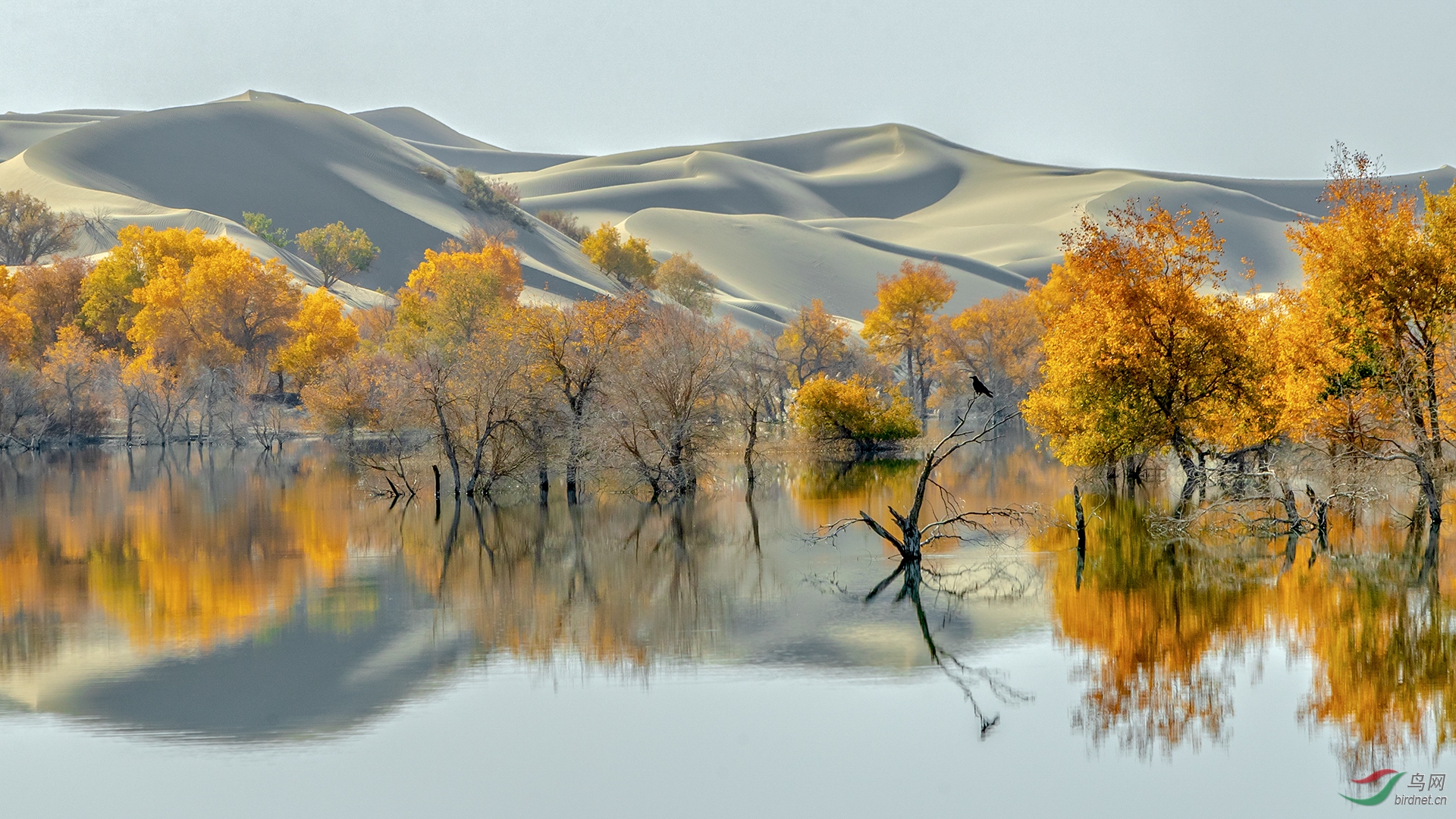 0091. 11581_���л�_����Ȼ���.jpg