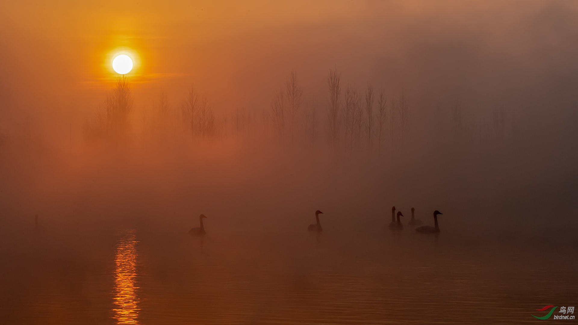 0092. 11632_������ɴ���ӻ�_����Ȼ���.jpg