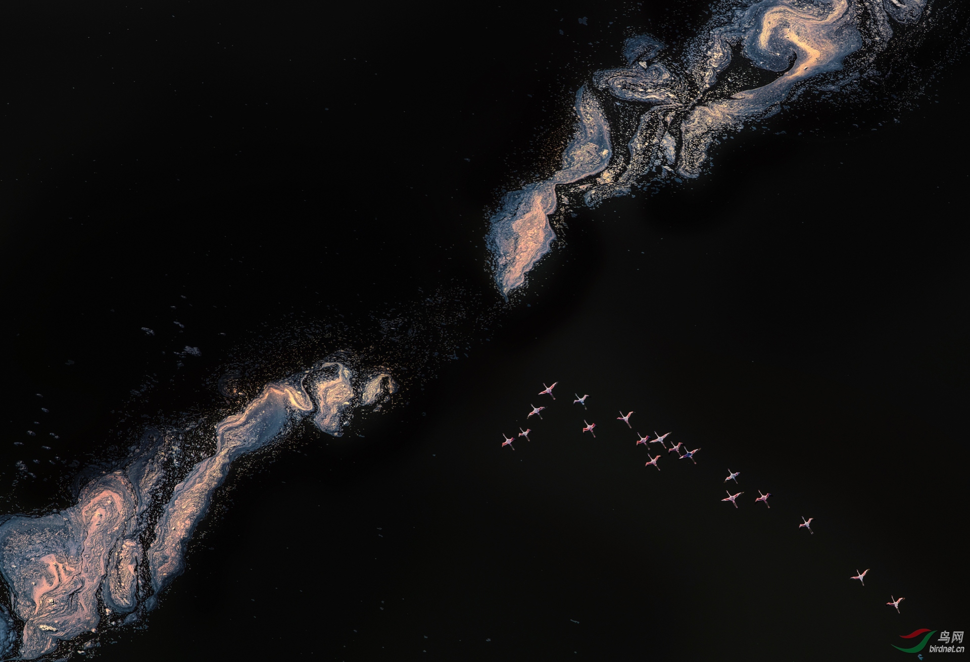 0094. 11663_��ӵ׺�_����Ȼ���.jpg