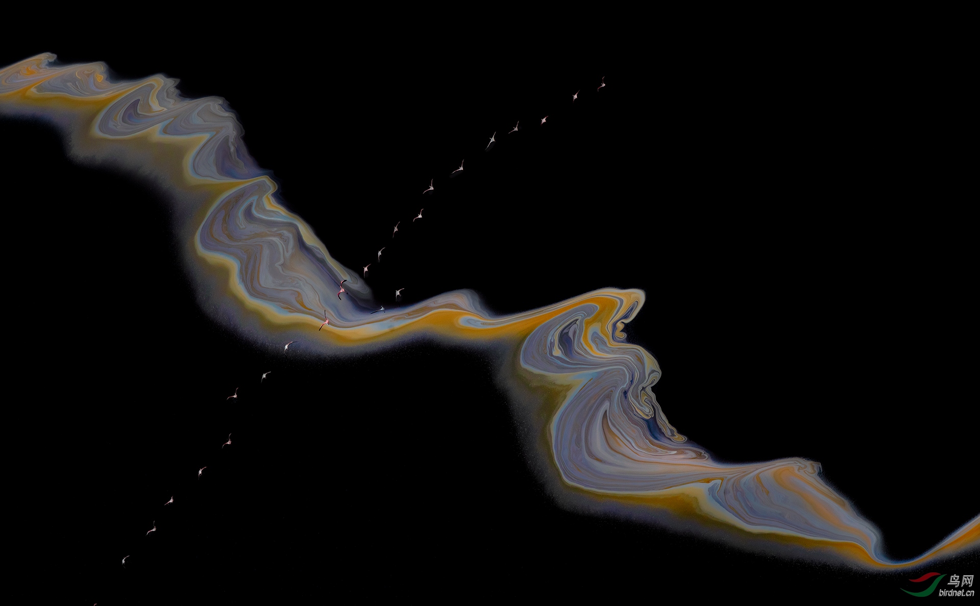 0125.Race though Time and Space L1920-�����.jpg