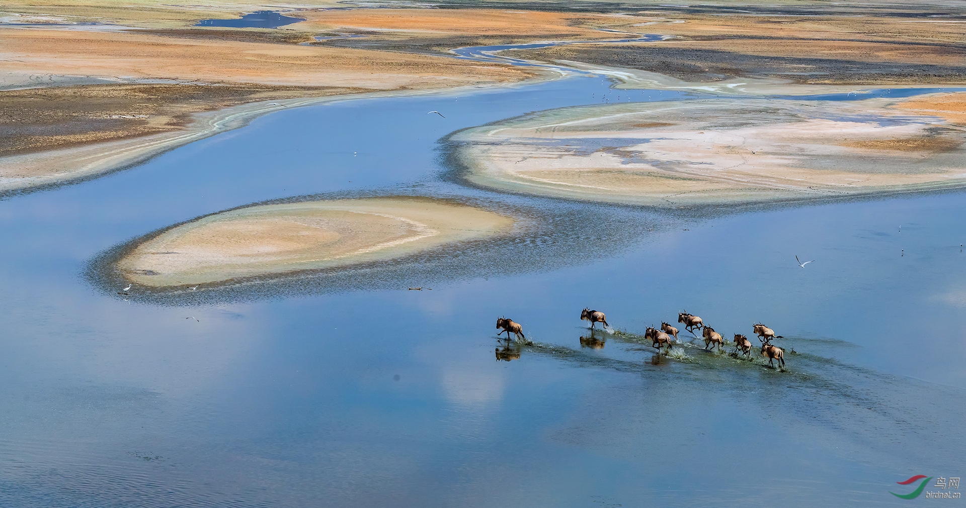 0147.crossing the Lake L1920-�����.jpg