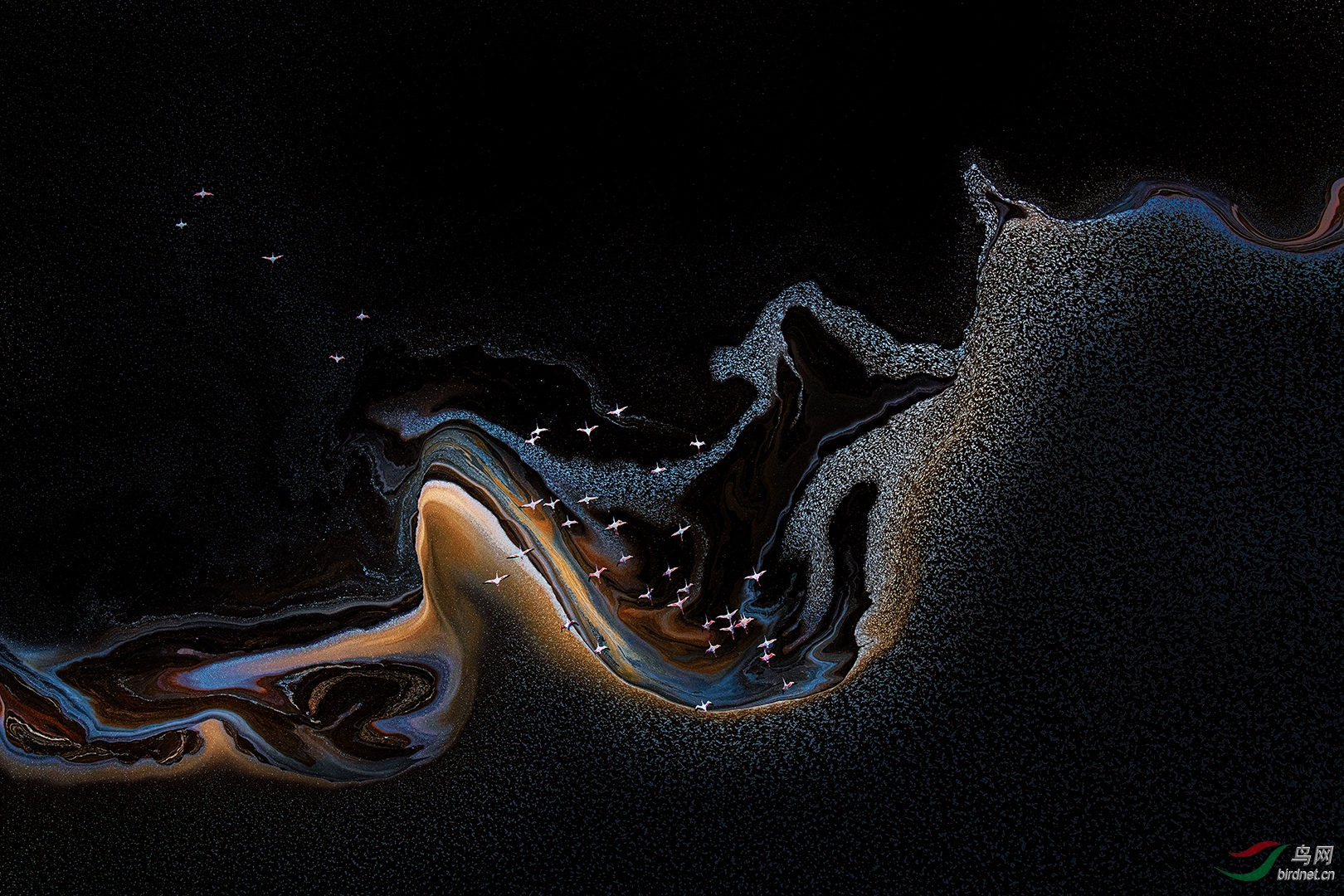 0307. 12087_Flamingoes over Lake Magadi_����(����)��Ӱ.jpg