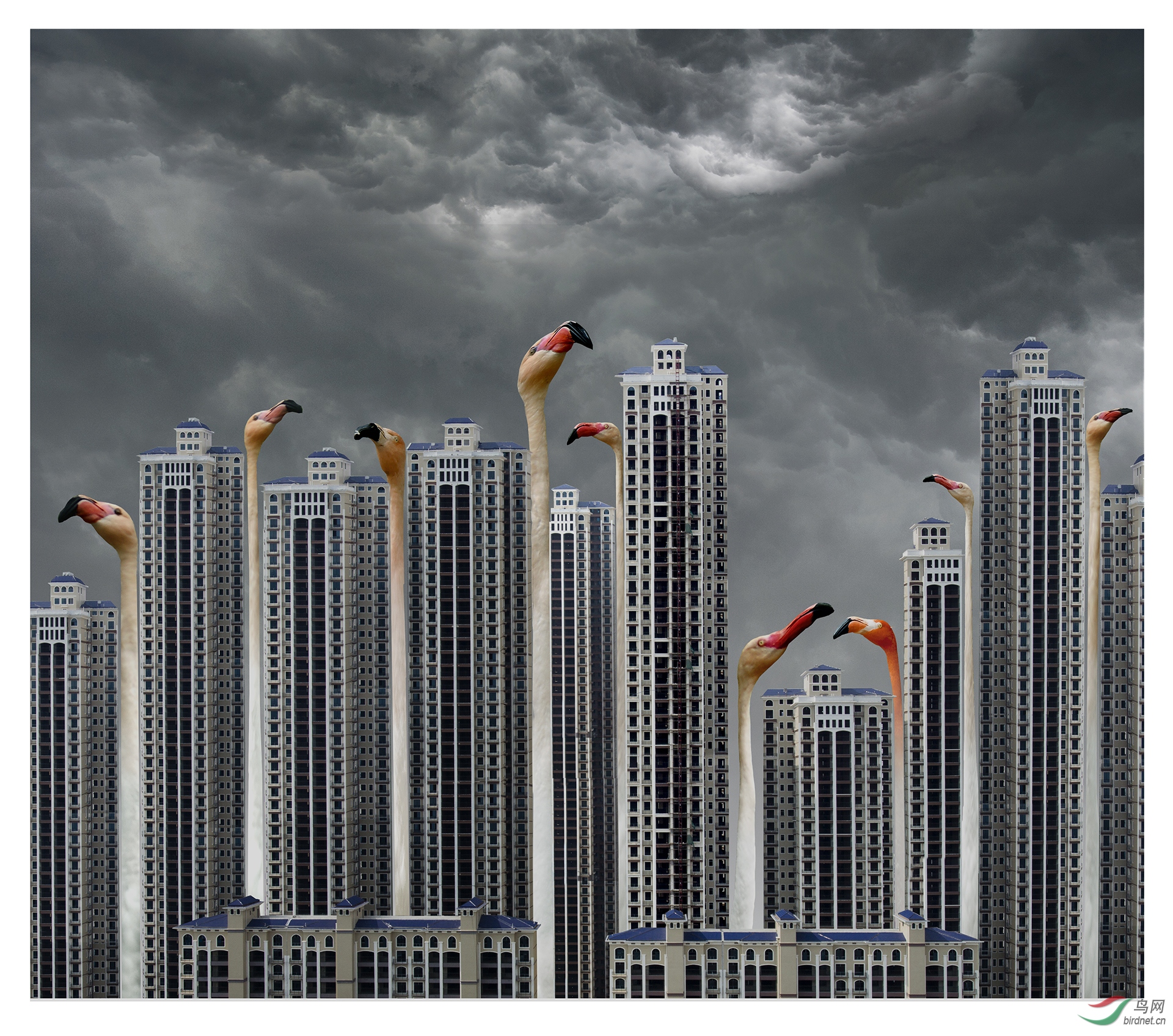 1275.�ռ� ����-�ſ�-����.jpg