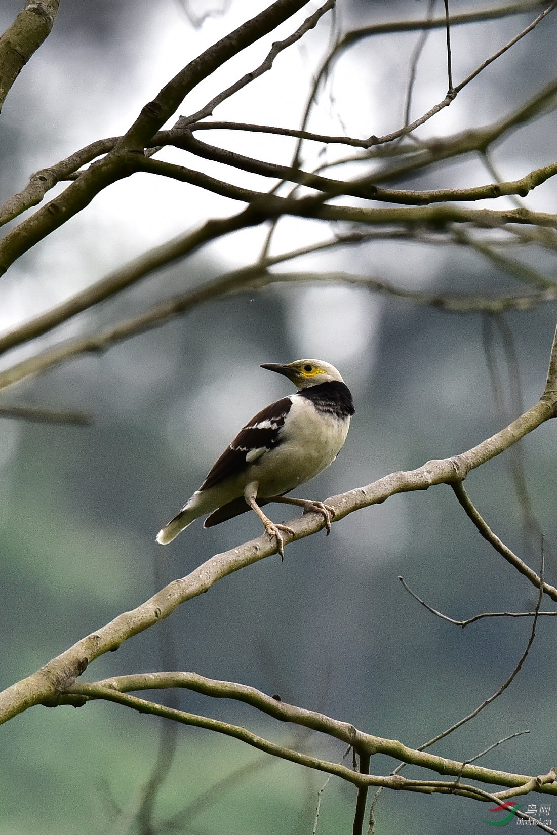 DSC_0189.JPG