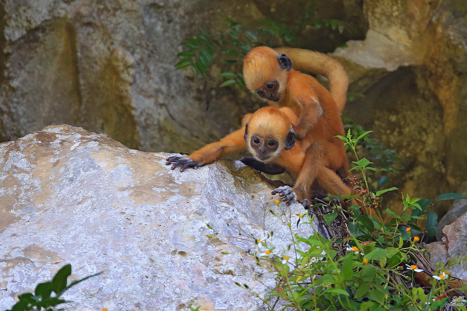 0288.��� ̷�˺�.jpg