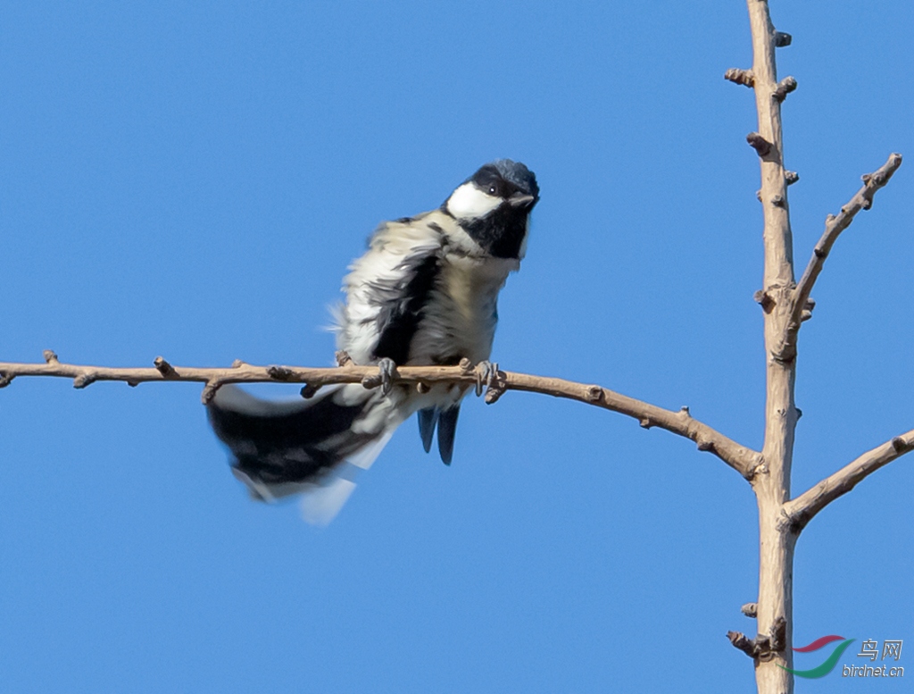 _16A2745  01_����.jpg