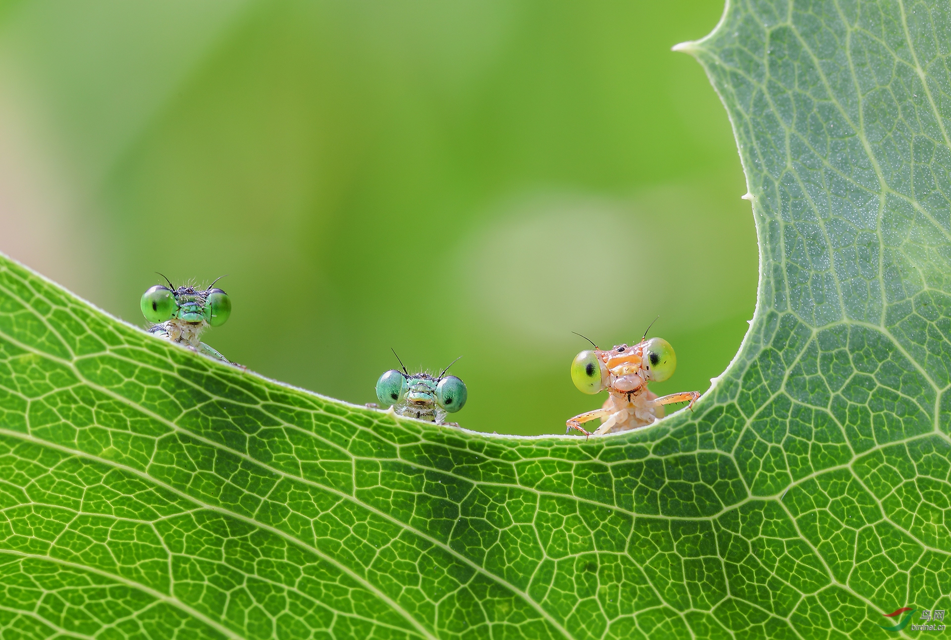 009. 10702_������_��������.jpg