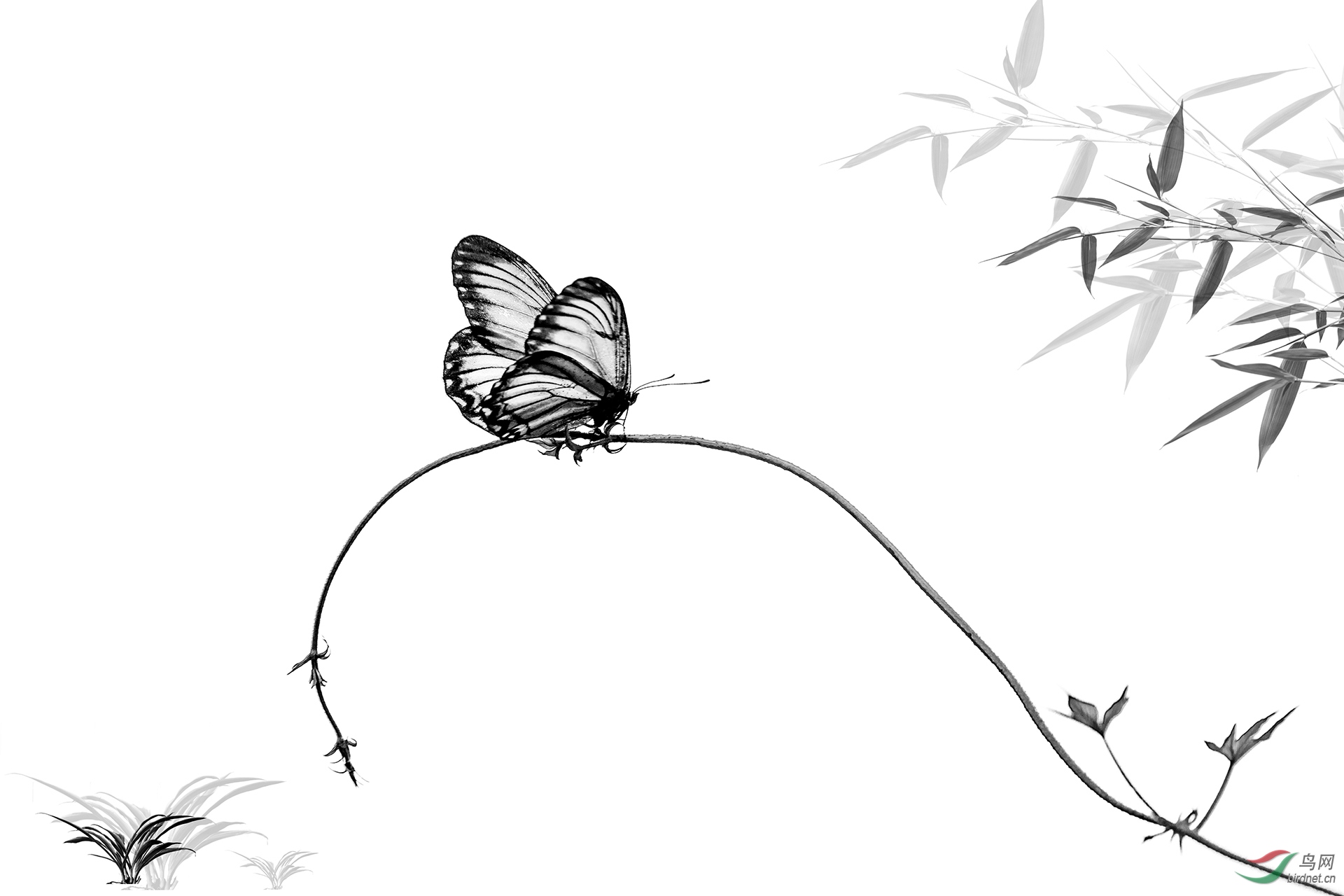 015. 10763_����_��������.jpg