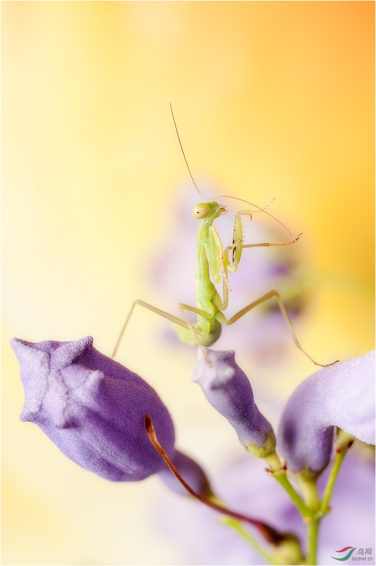 031. 10828_�����С��_��������.jpg