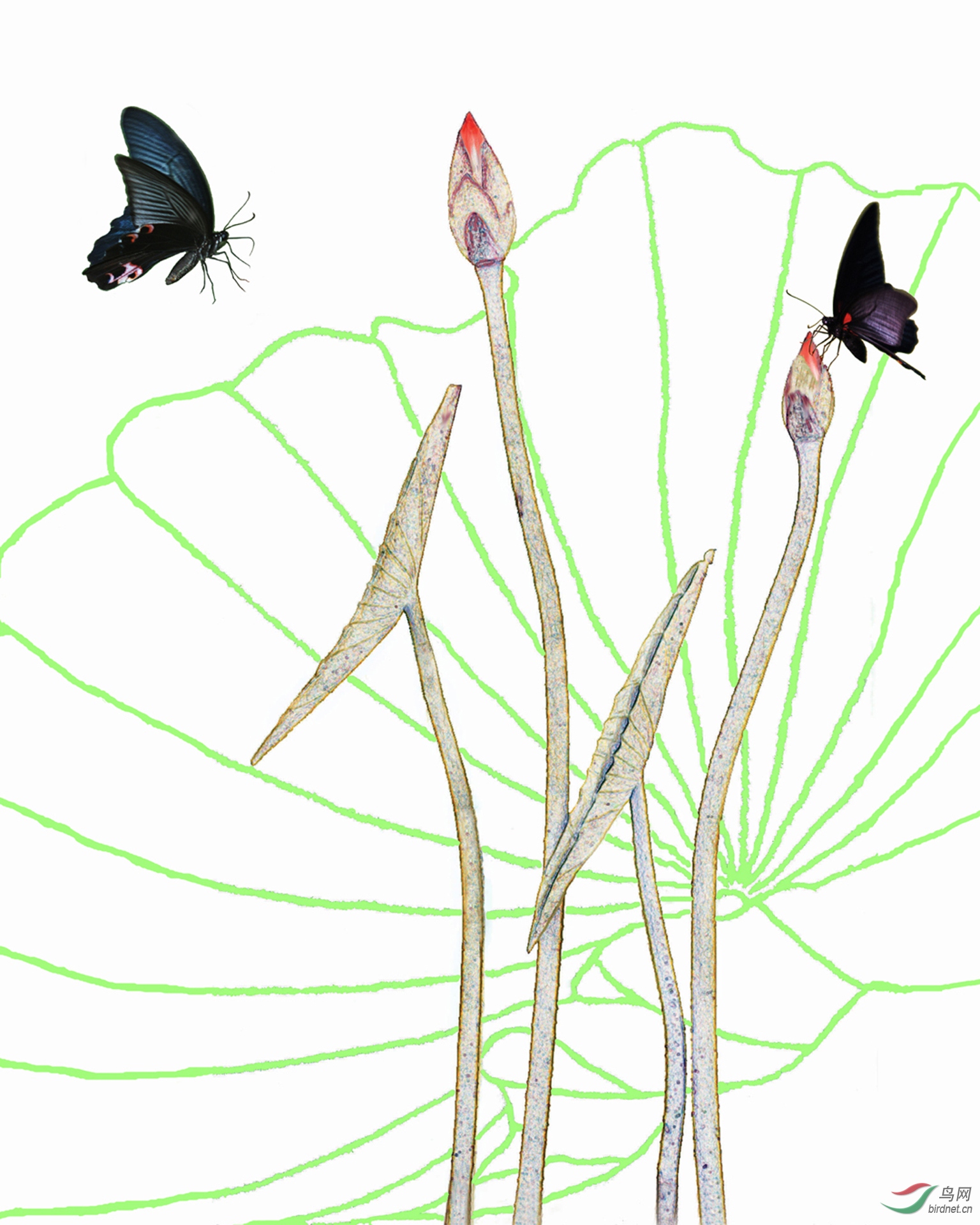 189.����   ����� -�¸���.jpg